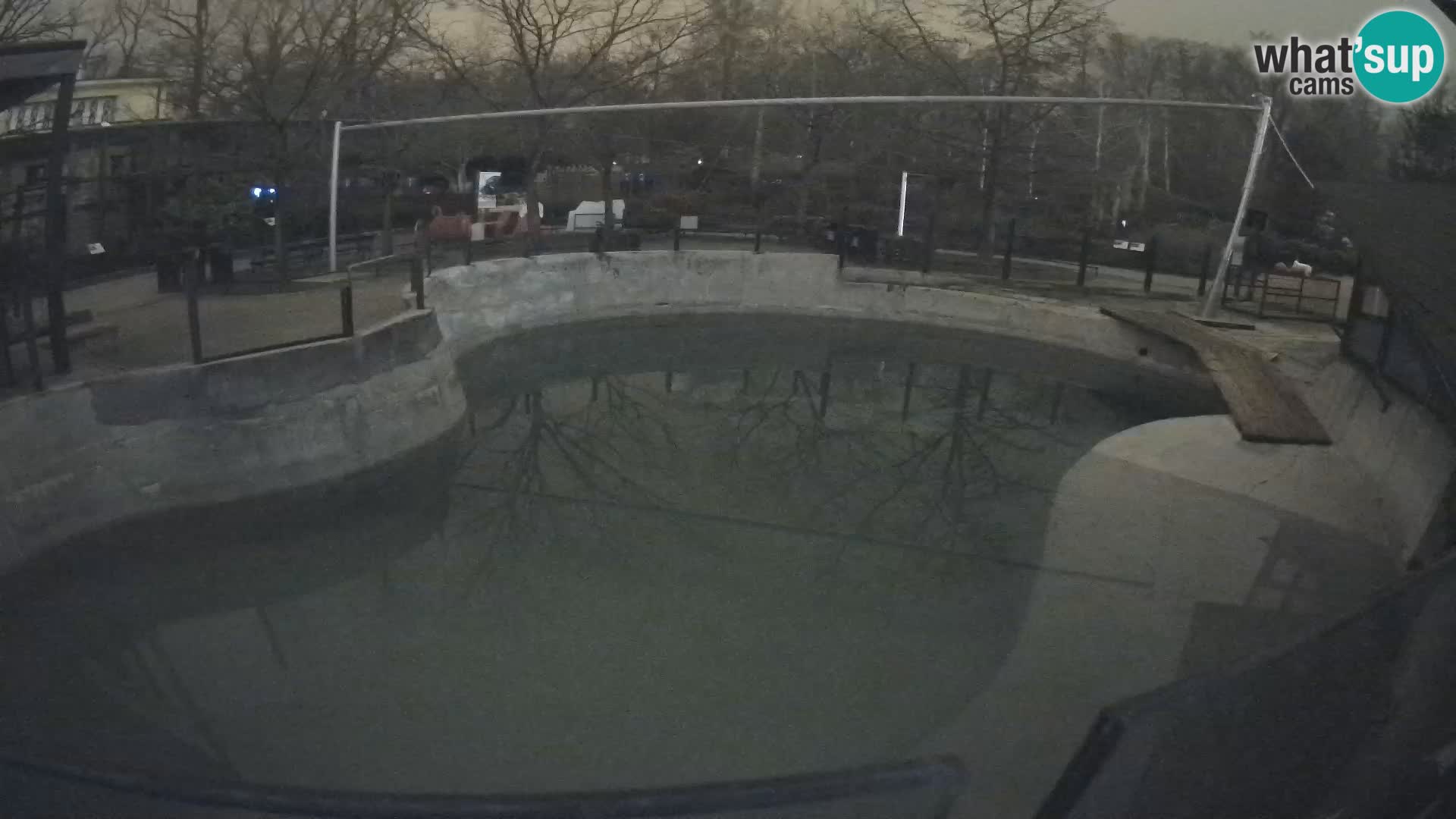 Zoo Zagreb –  León marino de California