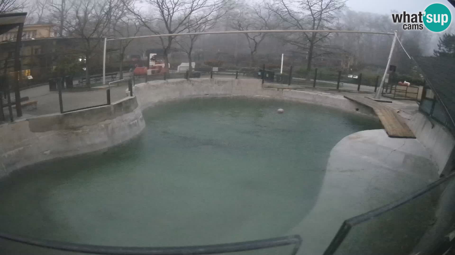 Zoo Zagreb – Kalifornijski morski lav