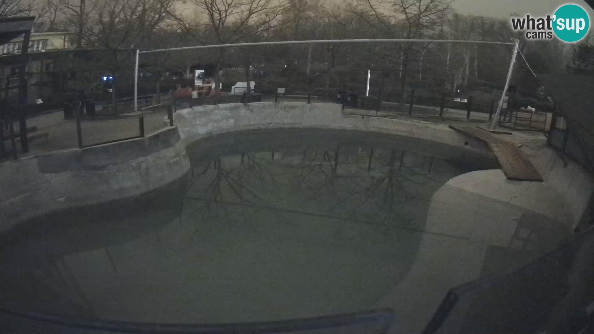 Zoo Zagreb – Otaria della California