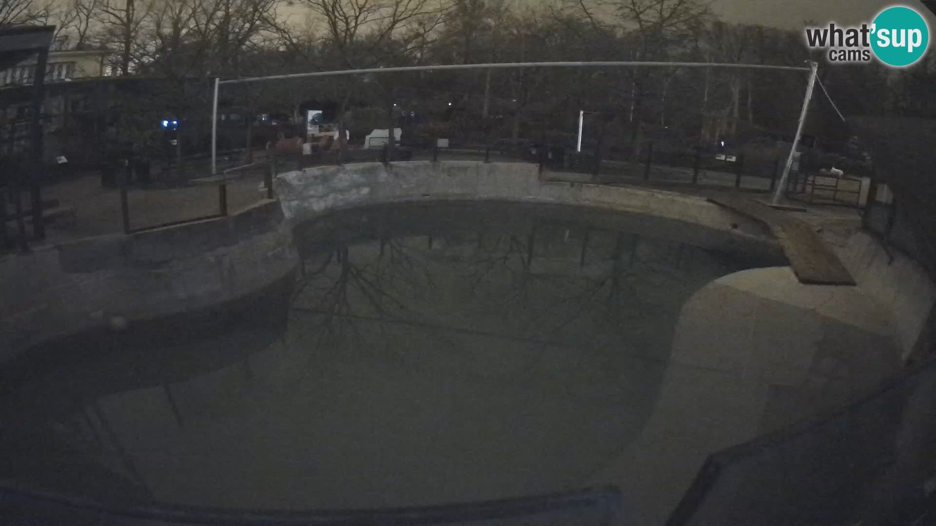 Zoo Zagreb – Kalifornijski morski lav