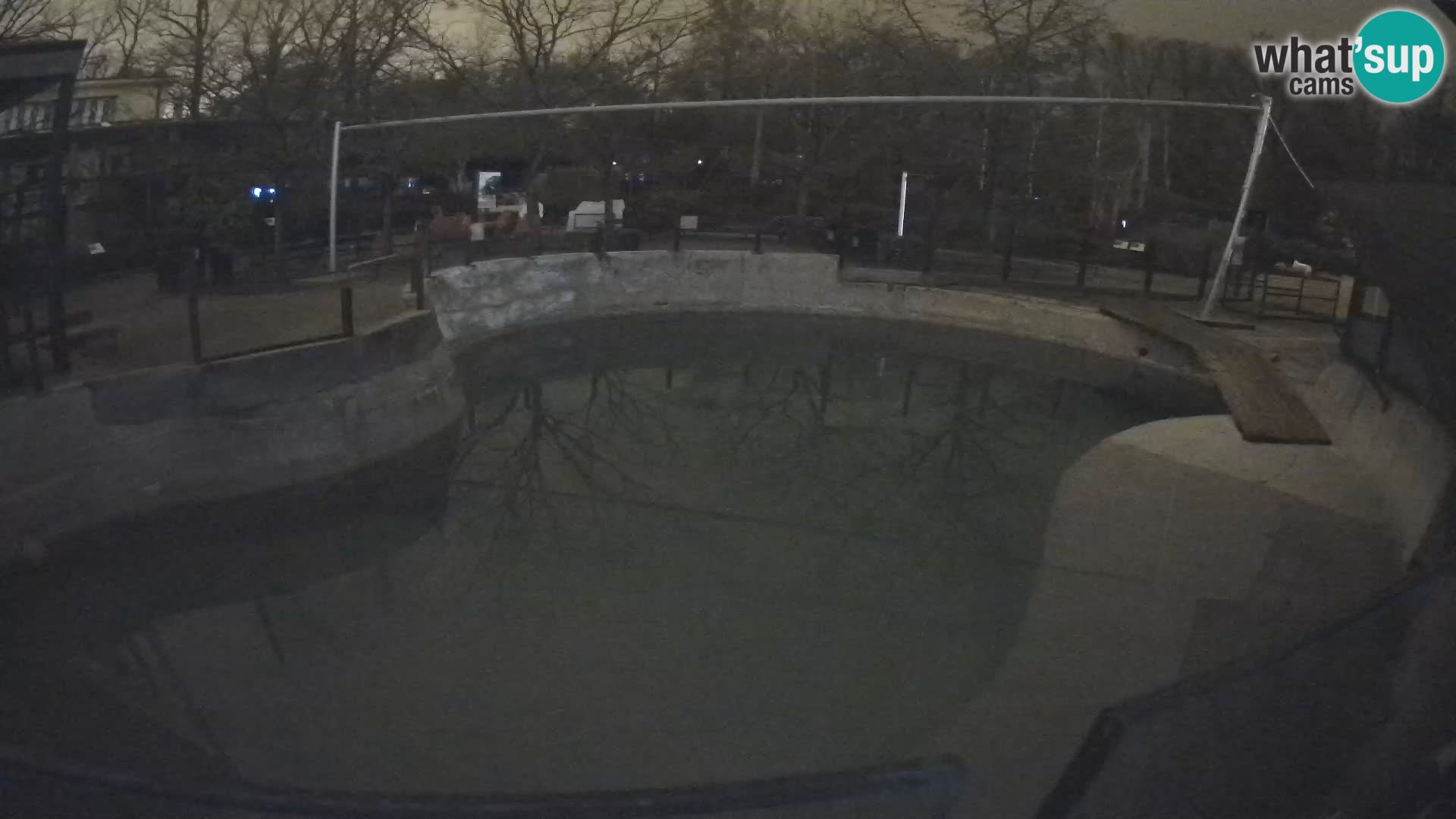 Zoo Zagreb –  León marino de California