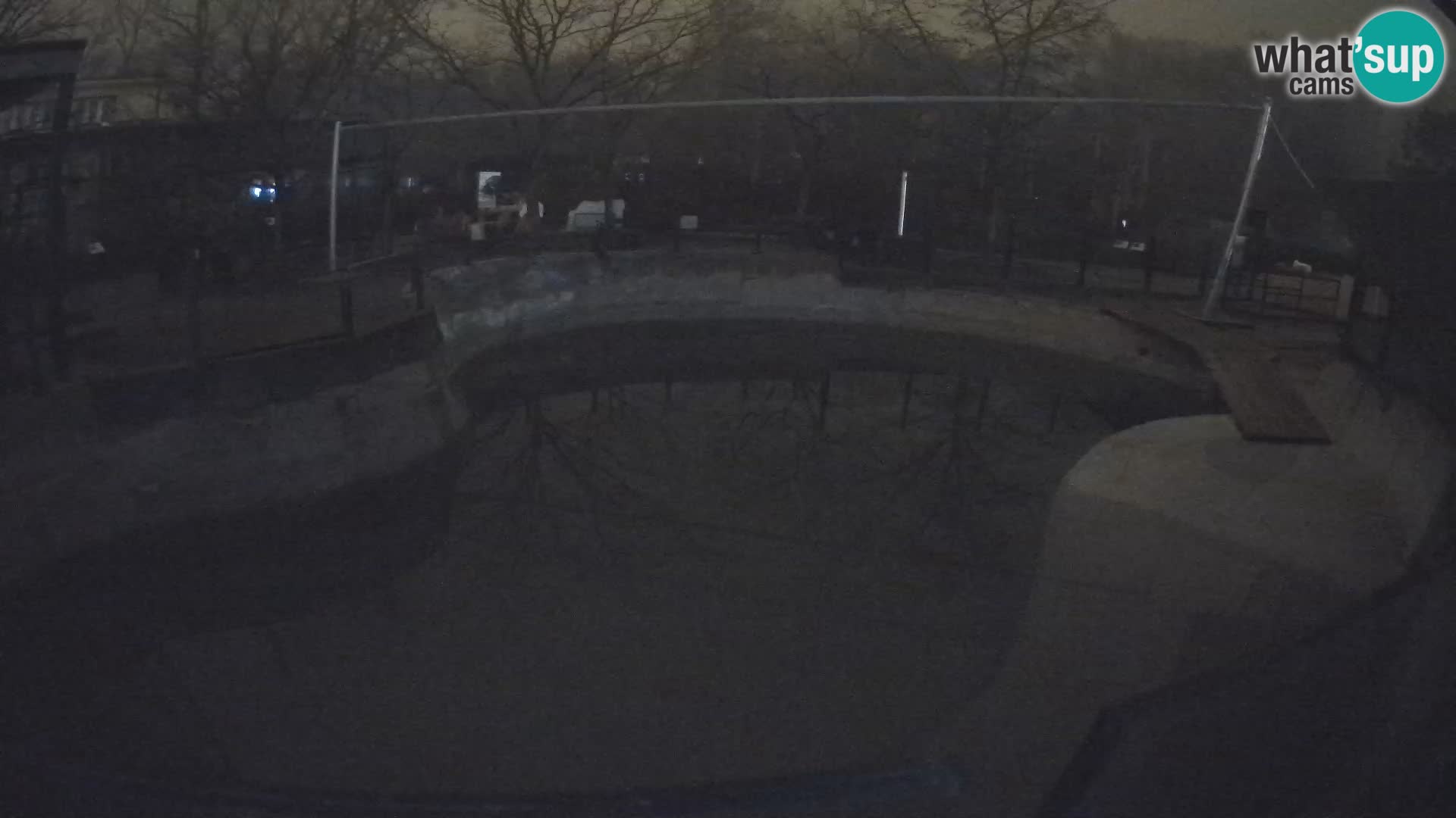 Zoo Zagreb – Kalifornijski morski lav