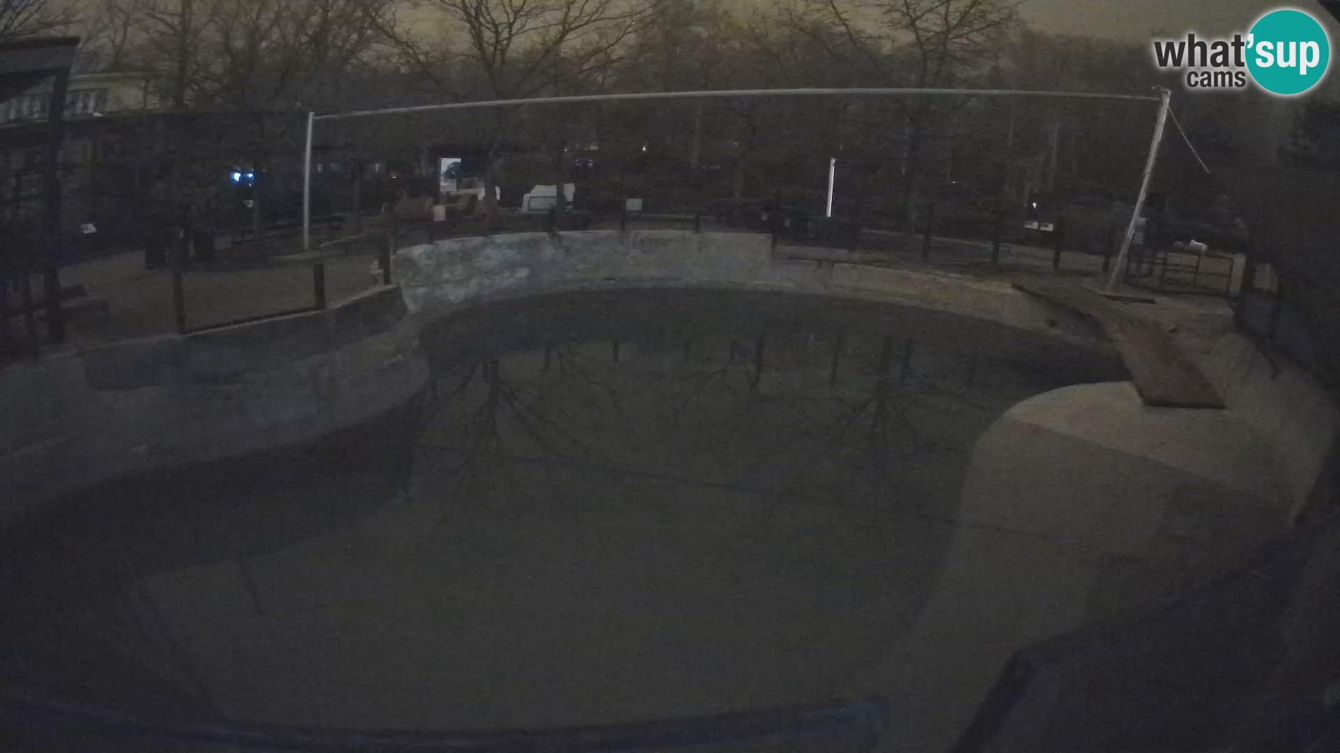 Zoo Zagreb – Otarie de Californie