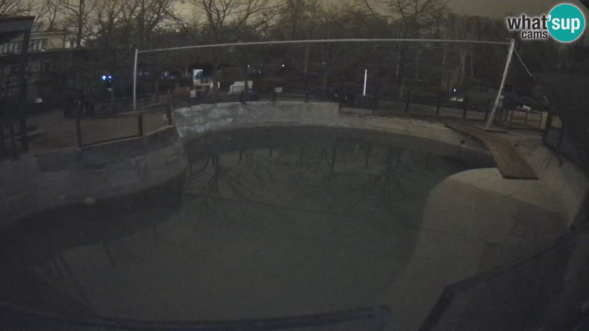 Zoo Zagreb – Otaria della California