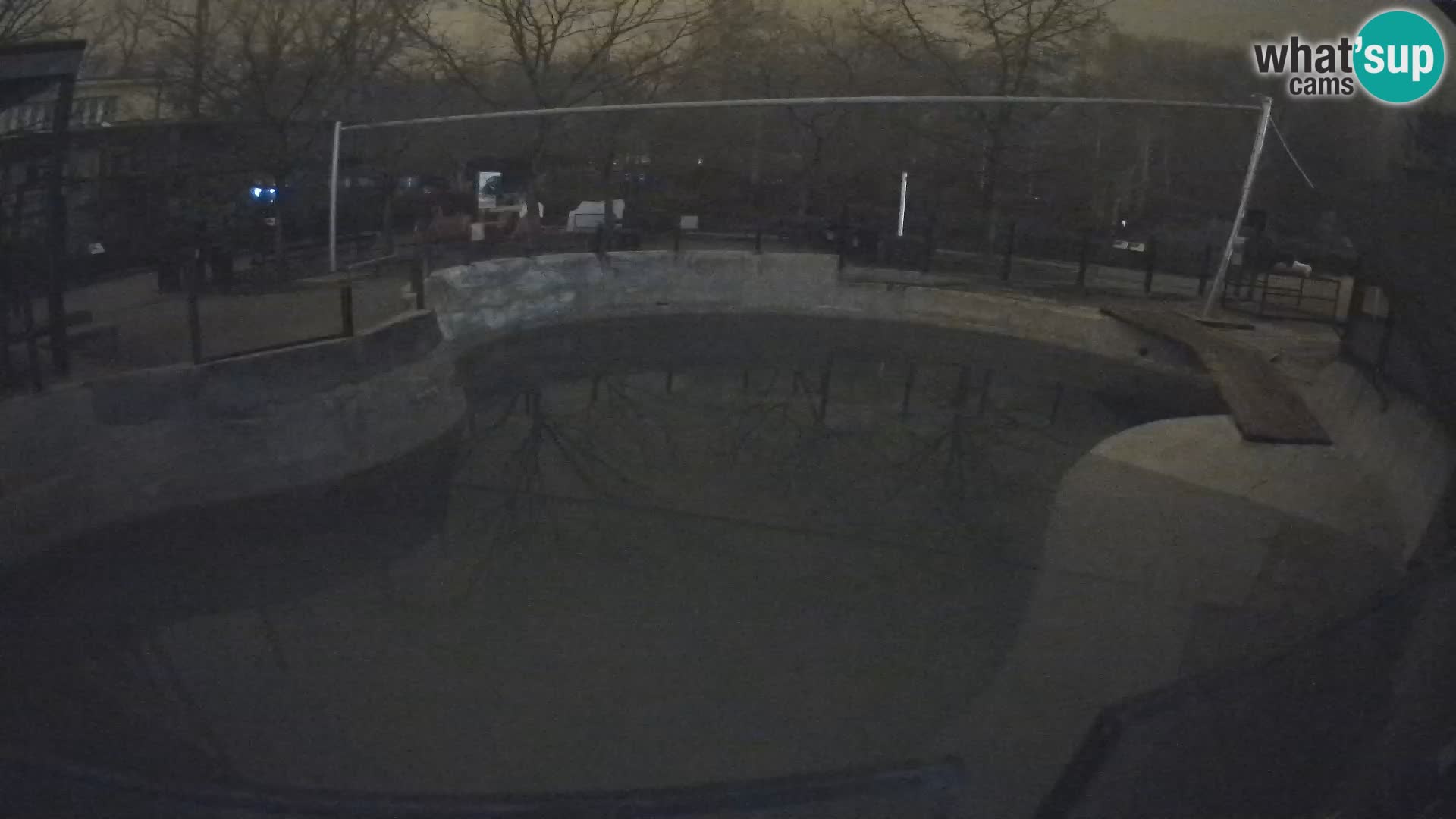 Zoo Zagreb – Otarie de Californie