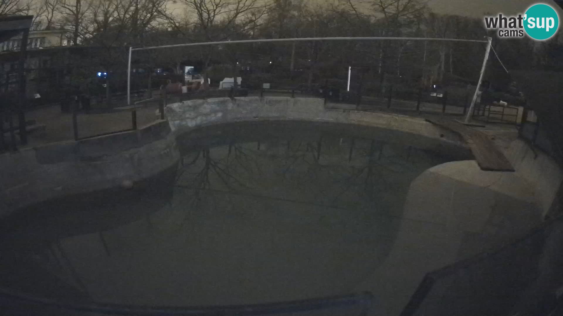 Zoo Zagreb – Kalifornijski morski lav