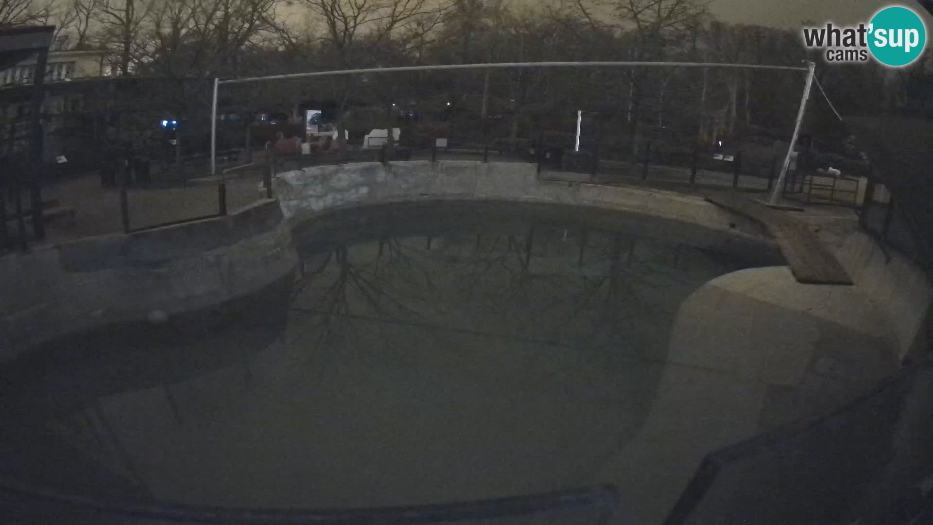 Zoo Zagreb – Kalifornijski morski lav