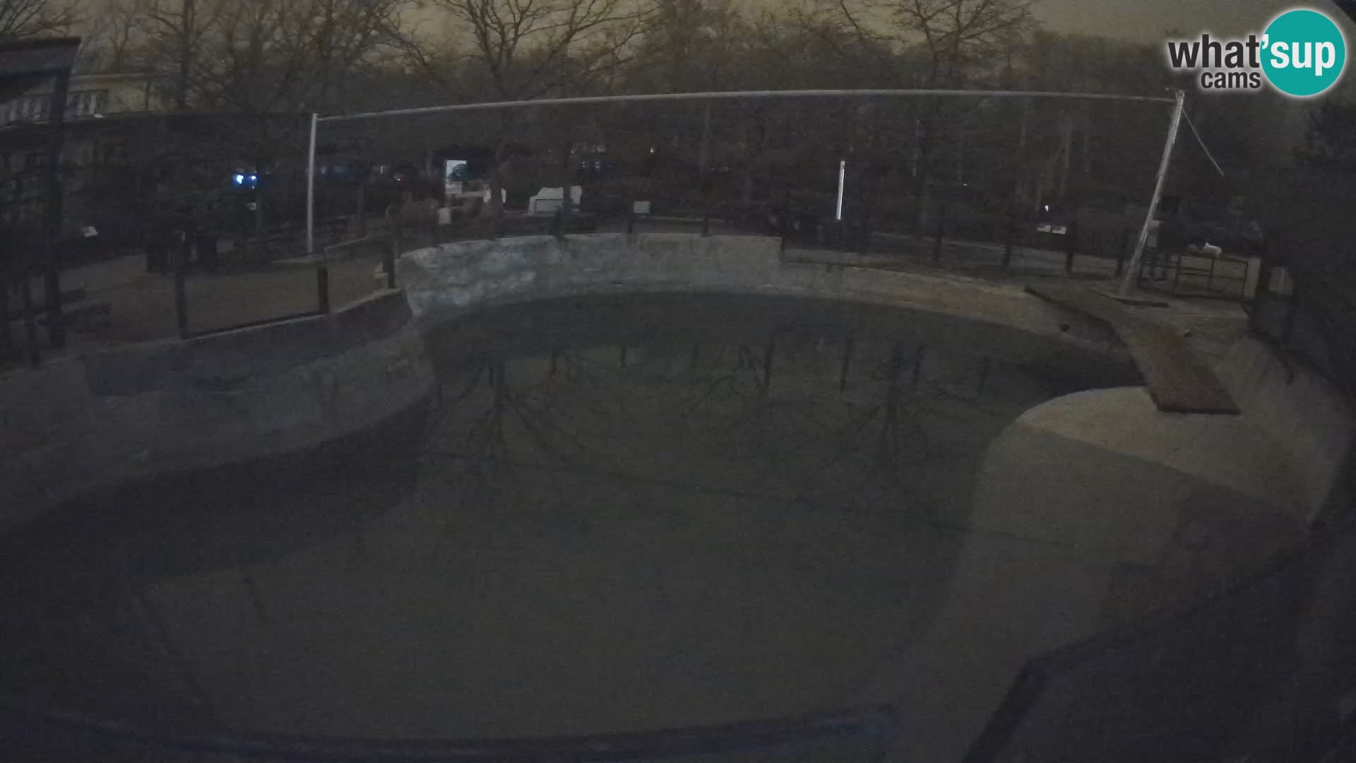 Zoo Zagreb – Kalifornijski morski lav