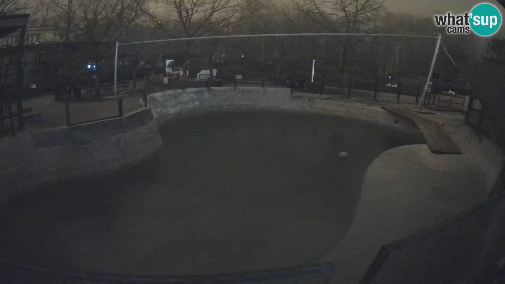 Zoo Zagreb – Kalifornijski morski lav