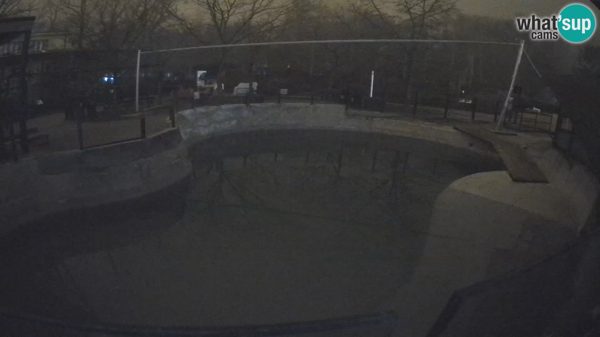 Zoo Zagreb – Kalifornijski morski lav