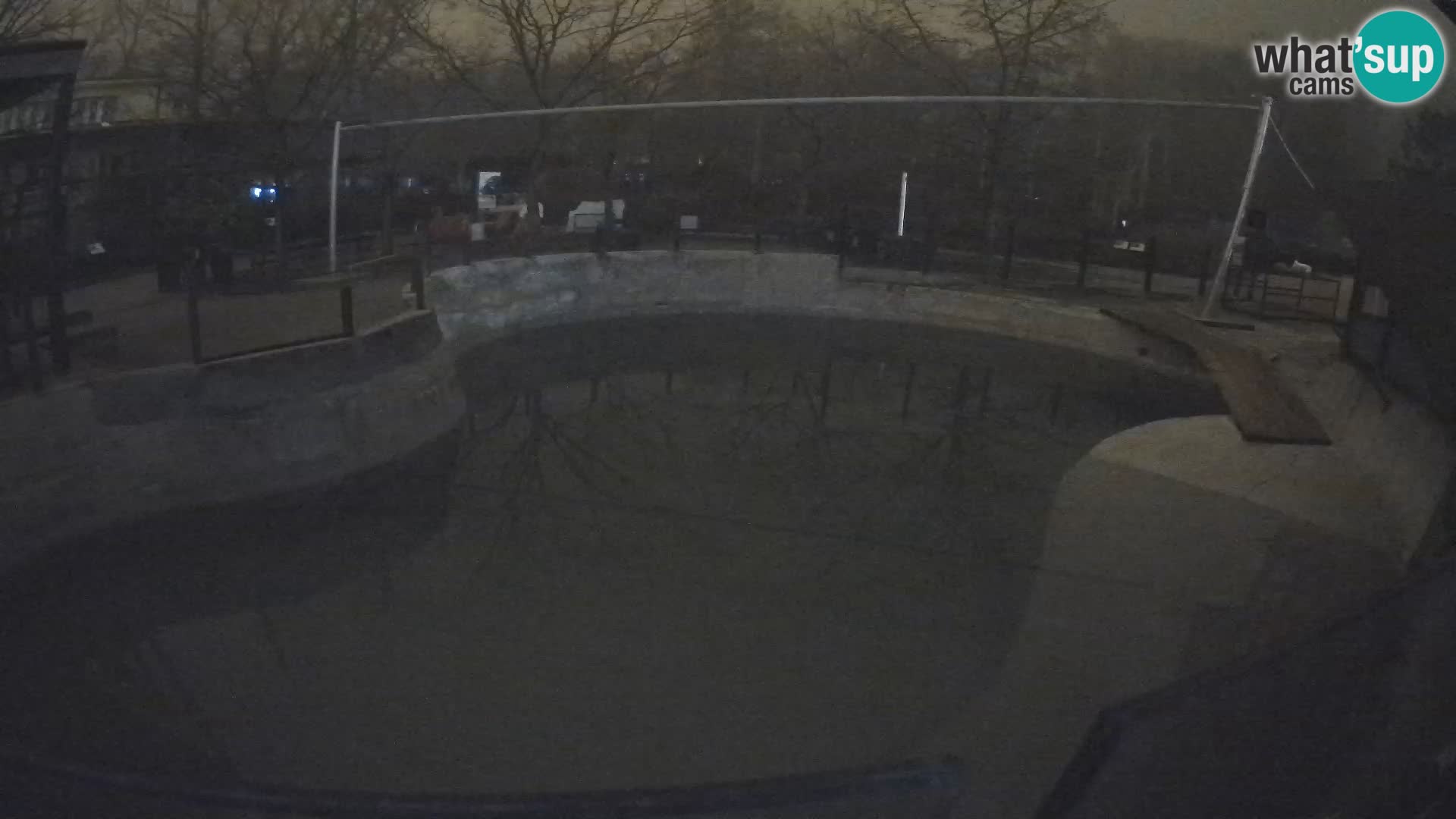 Zoo Zagreb – Kalifornijski morski lav