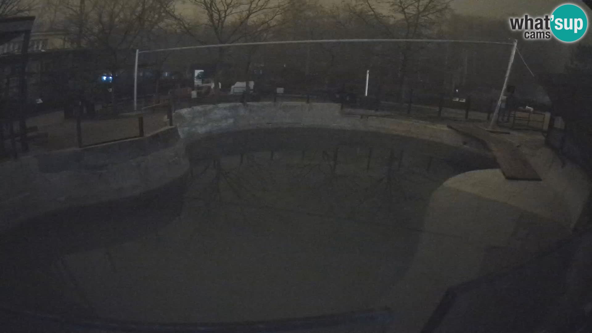 Zoo Zagreb – Otarie de Californie