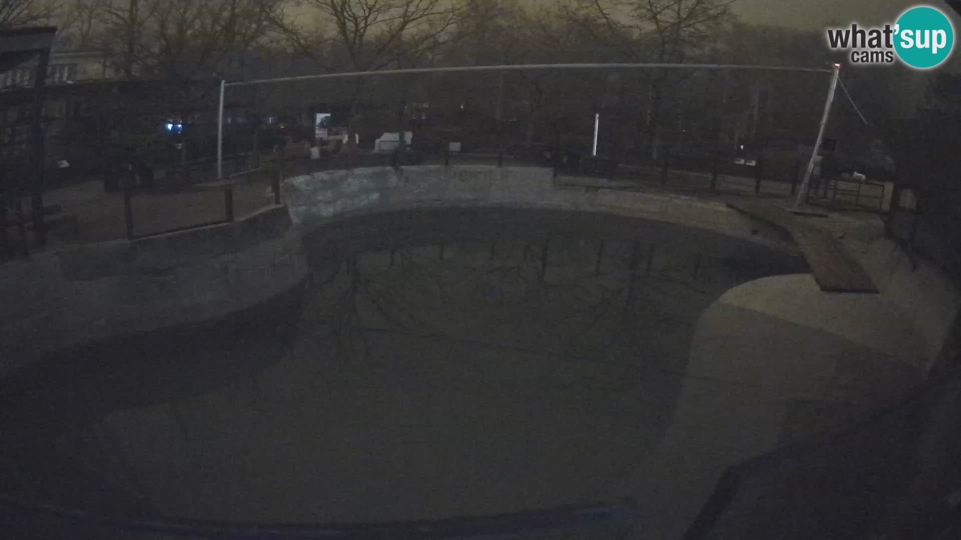 Zoo Zagreb – Kalifornijski morski lav