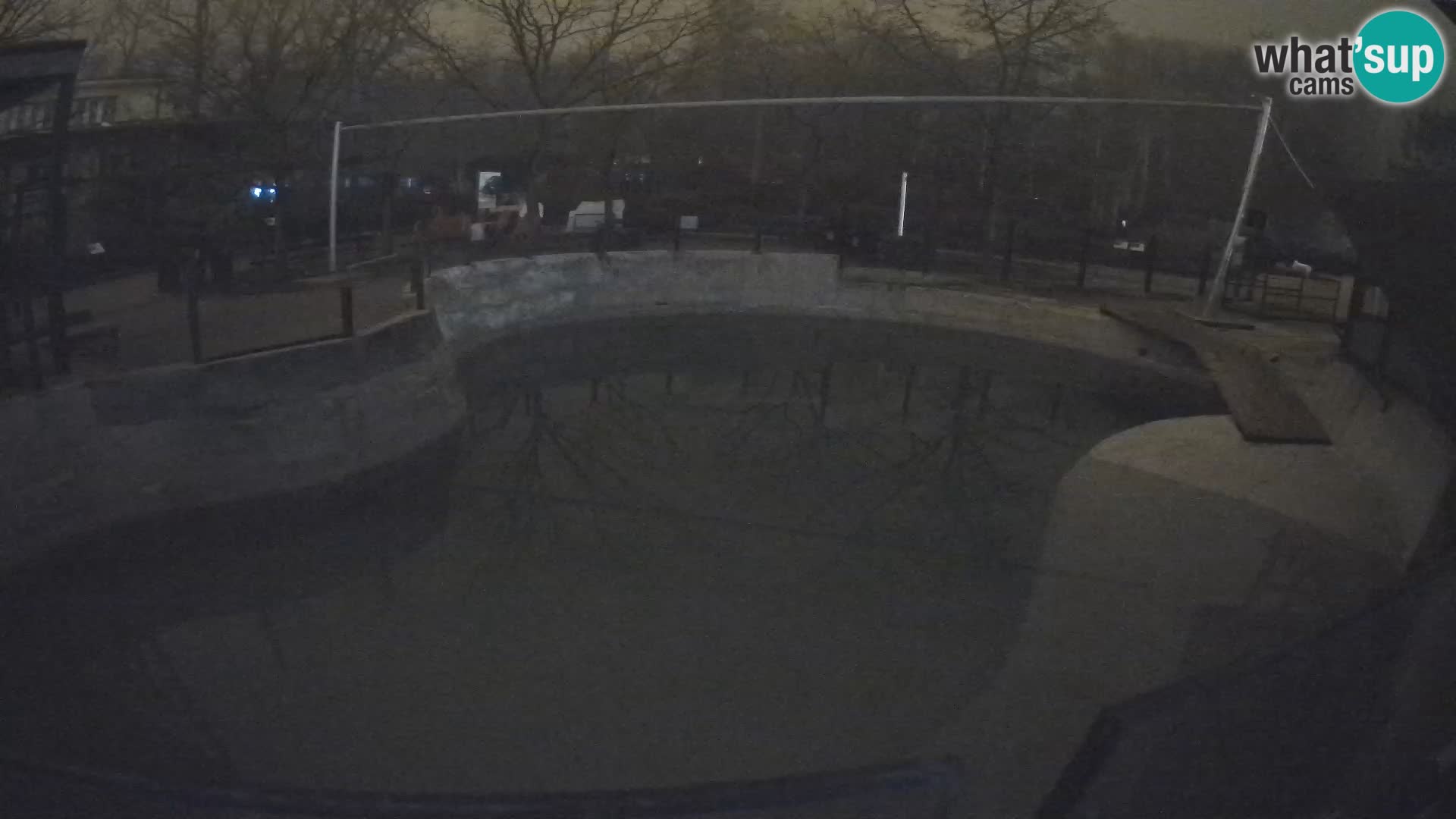 Zoo Zagreb – Otarie de Californie