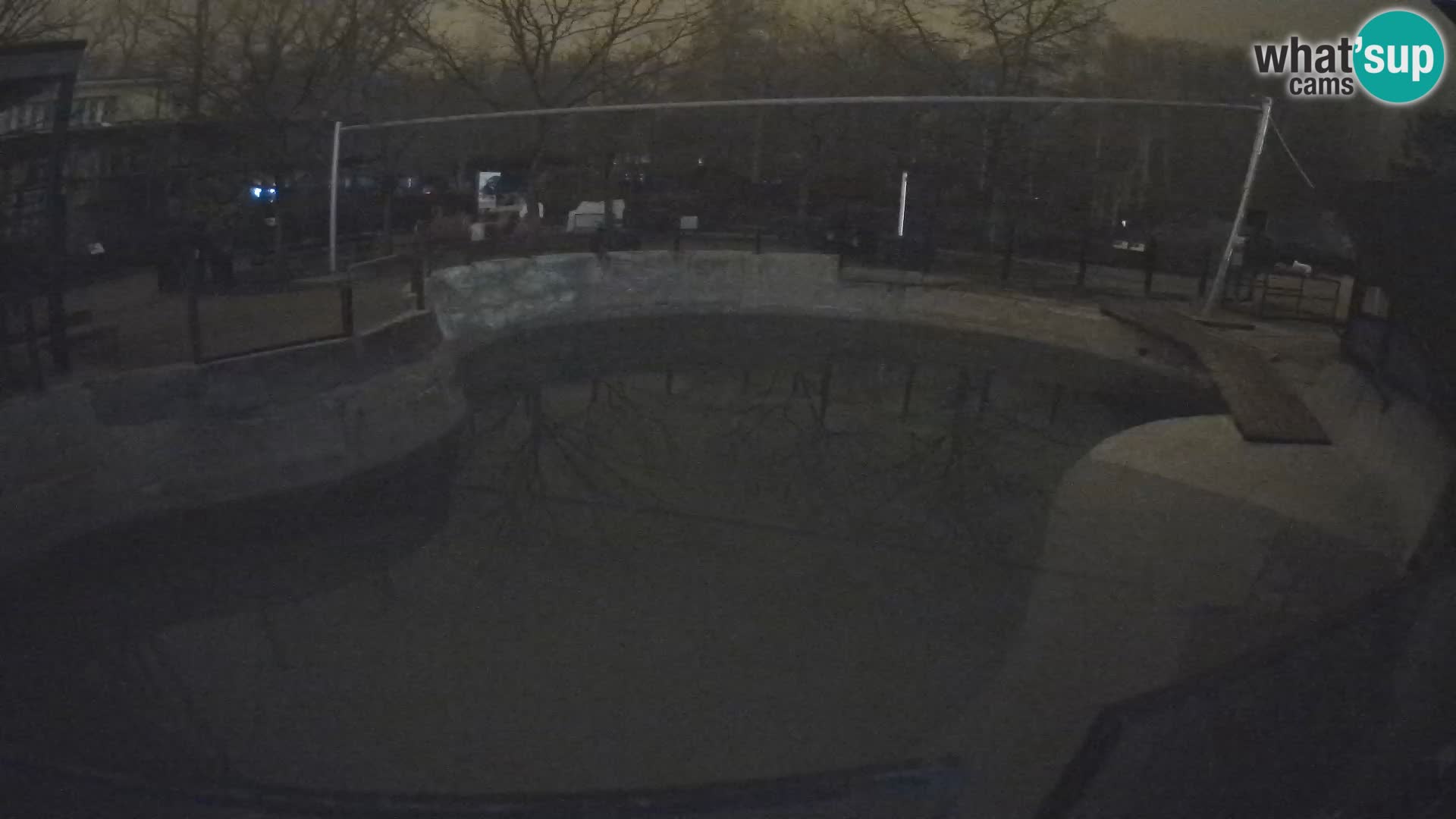 Zoo Zagreb – Kalifornijski morski lav