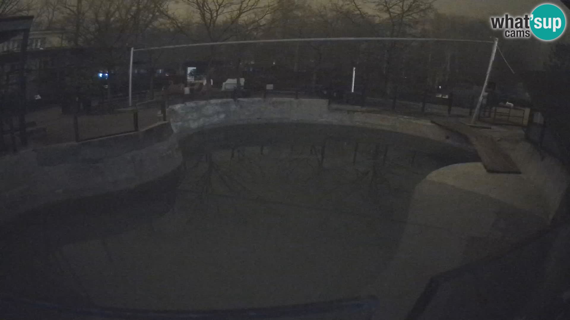 Zoo Zagreb – California Sea Lion