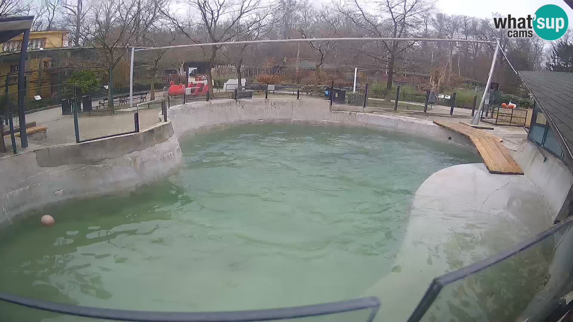 Zoo Zagreb – Otarie de Californie