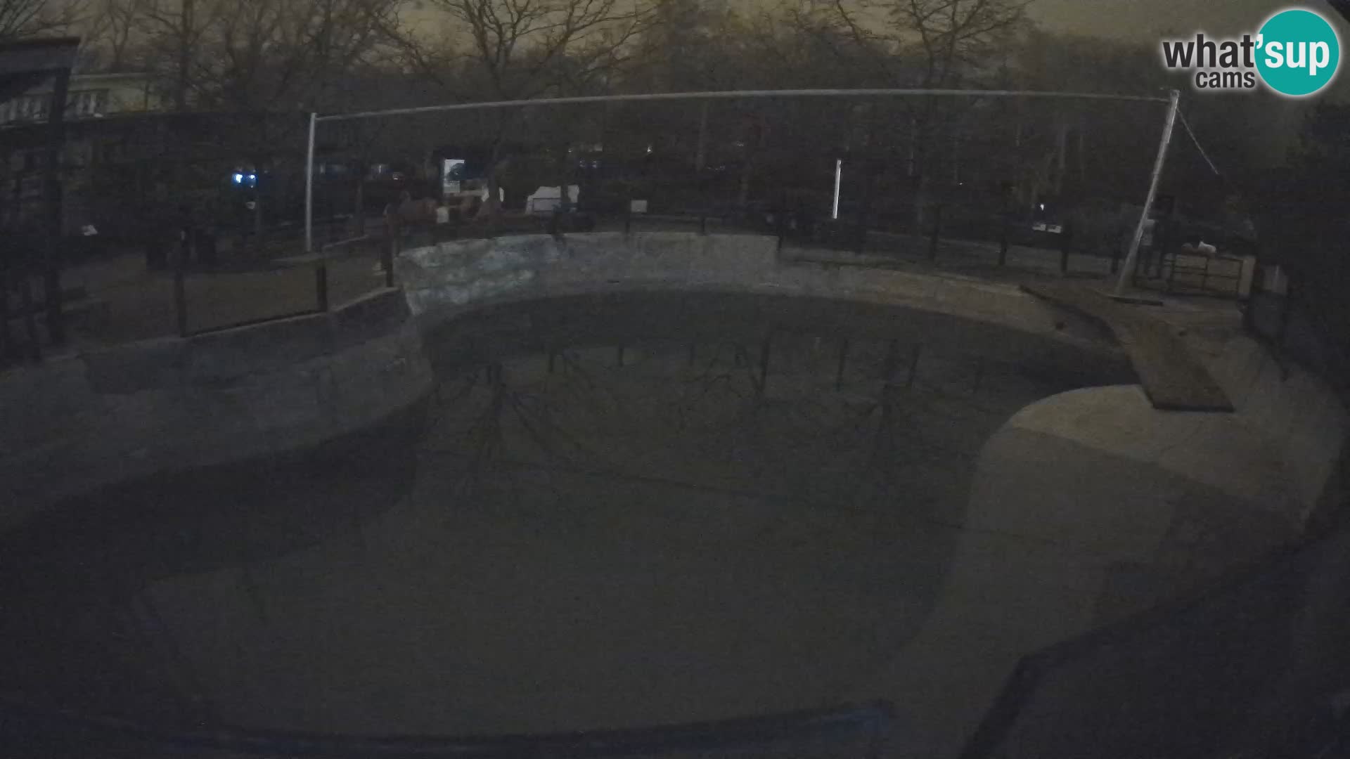 Zoo Zagreb – Otarie de Californie