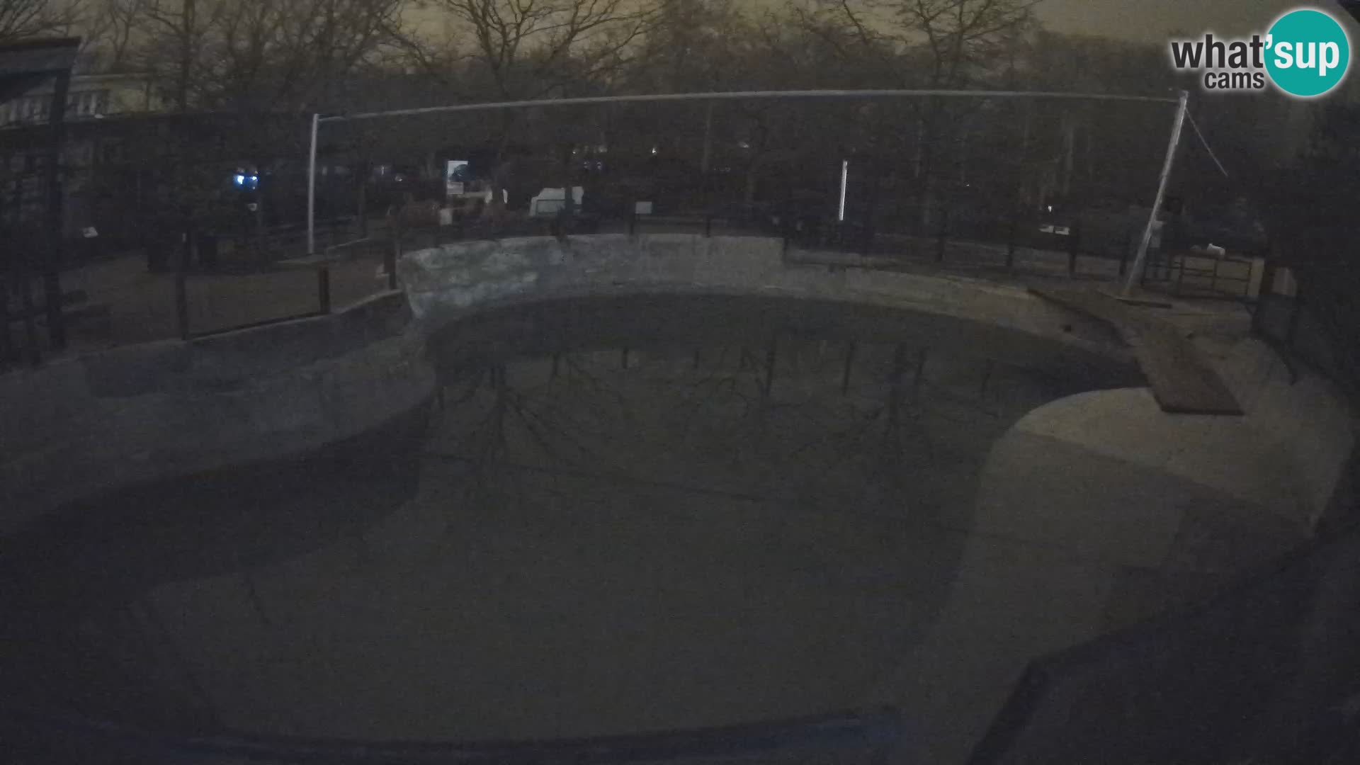 Zoo Zagreb – Kalifornijski morski lav