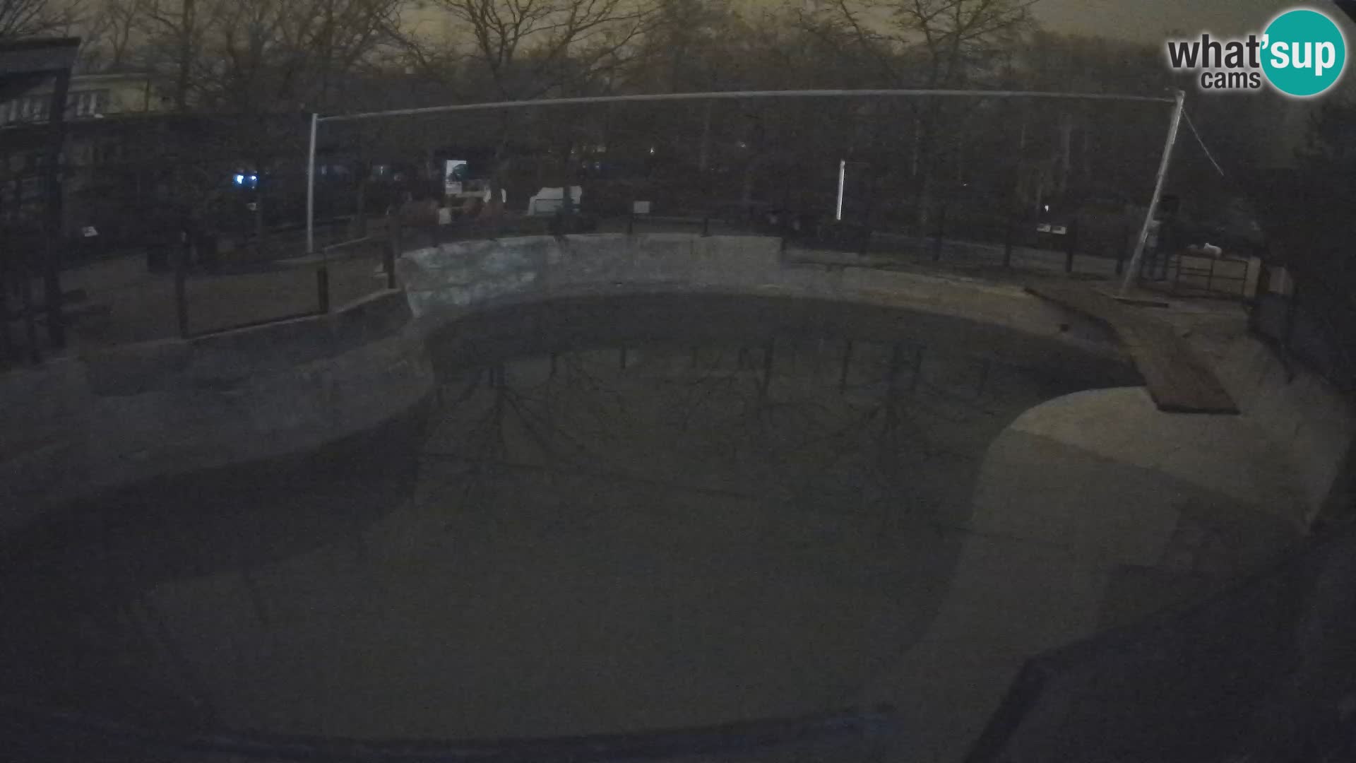 Zoo Zagreb –  León marino de California