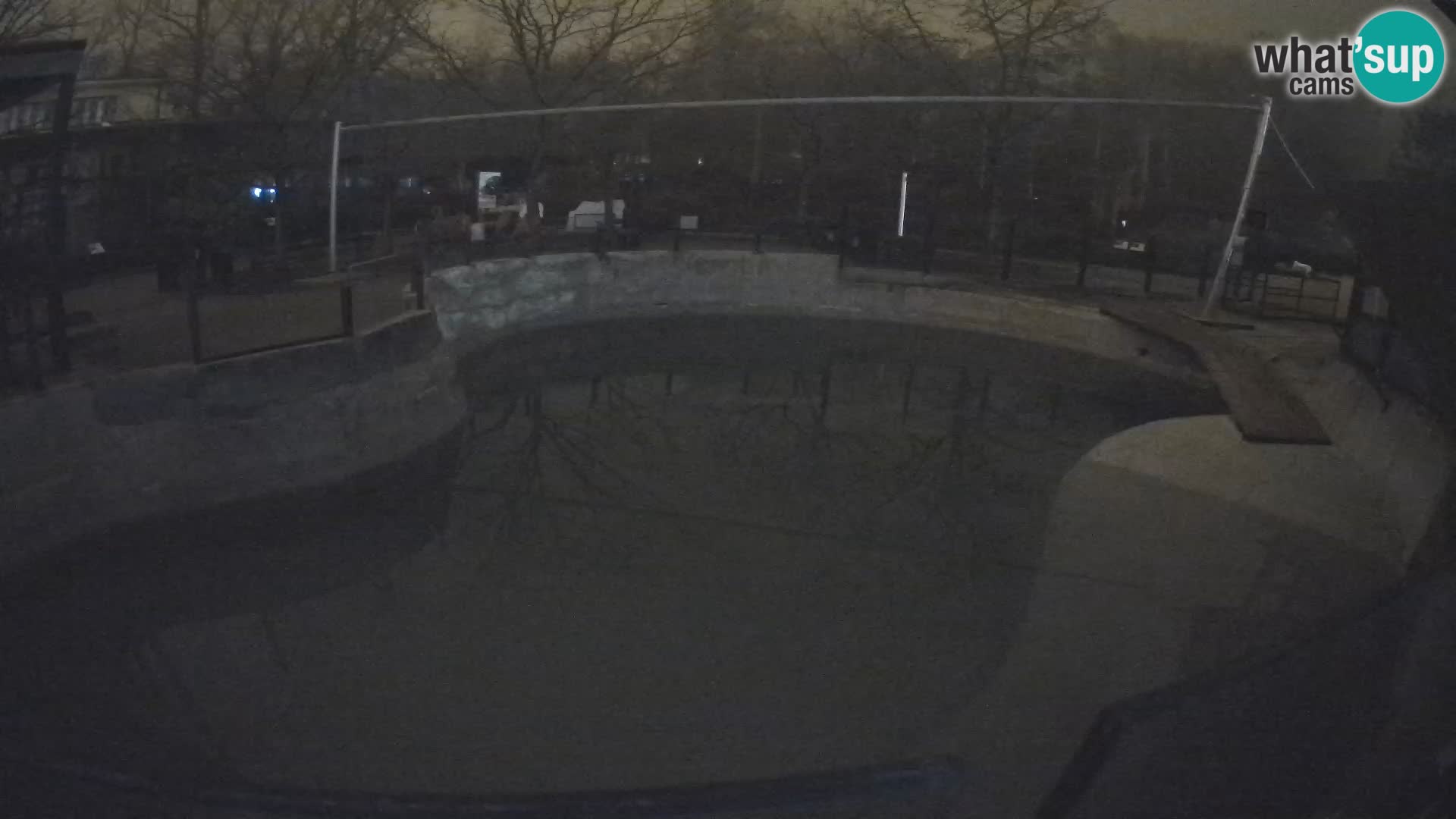 Zoo Zagreb –  León marino de California