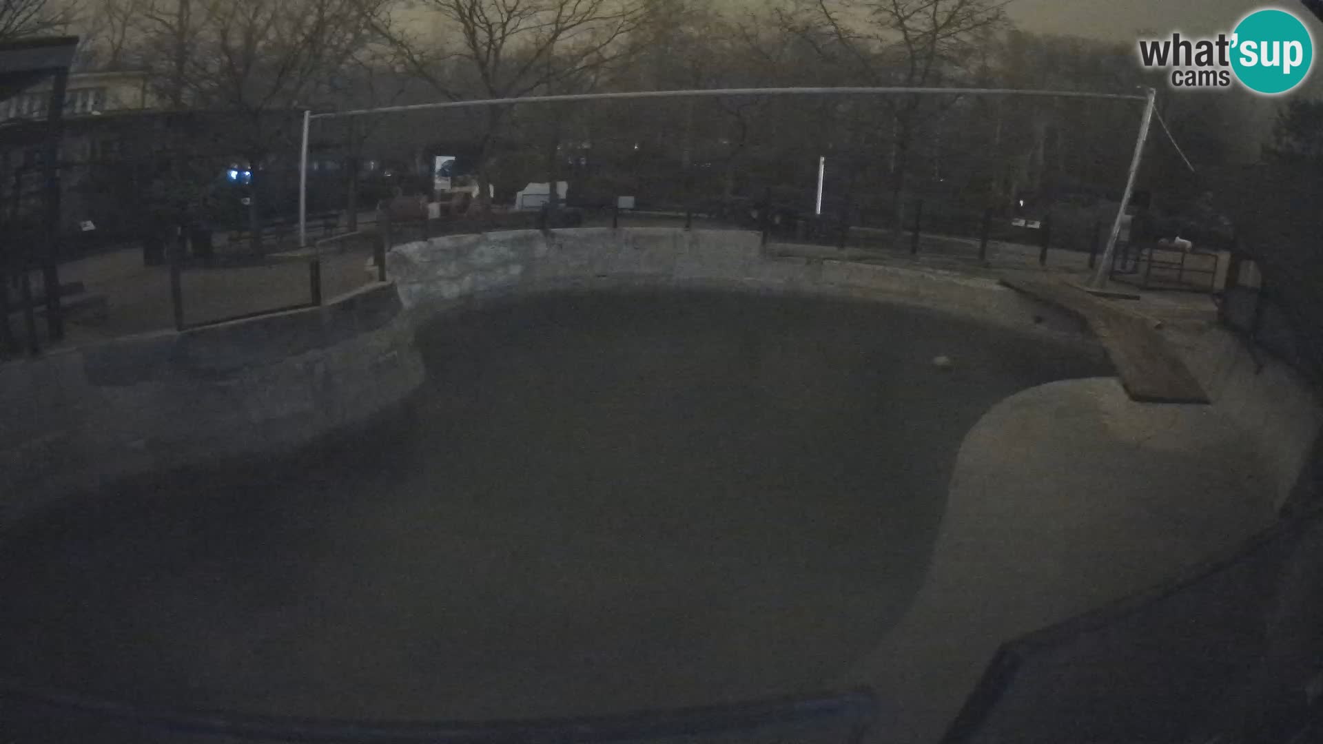 Zoo Zagreb – Otarie de Californie