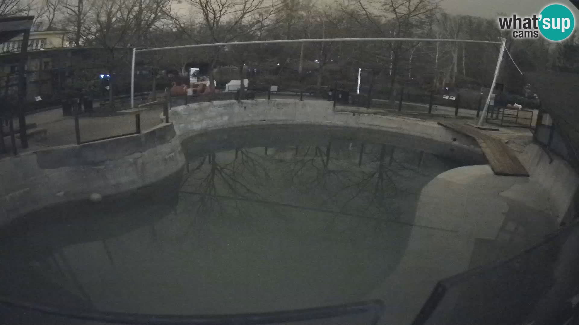 Zoo Zagreb – Otarie de Californie