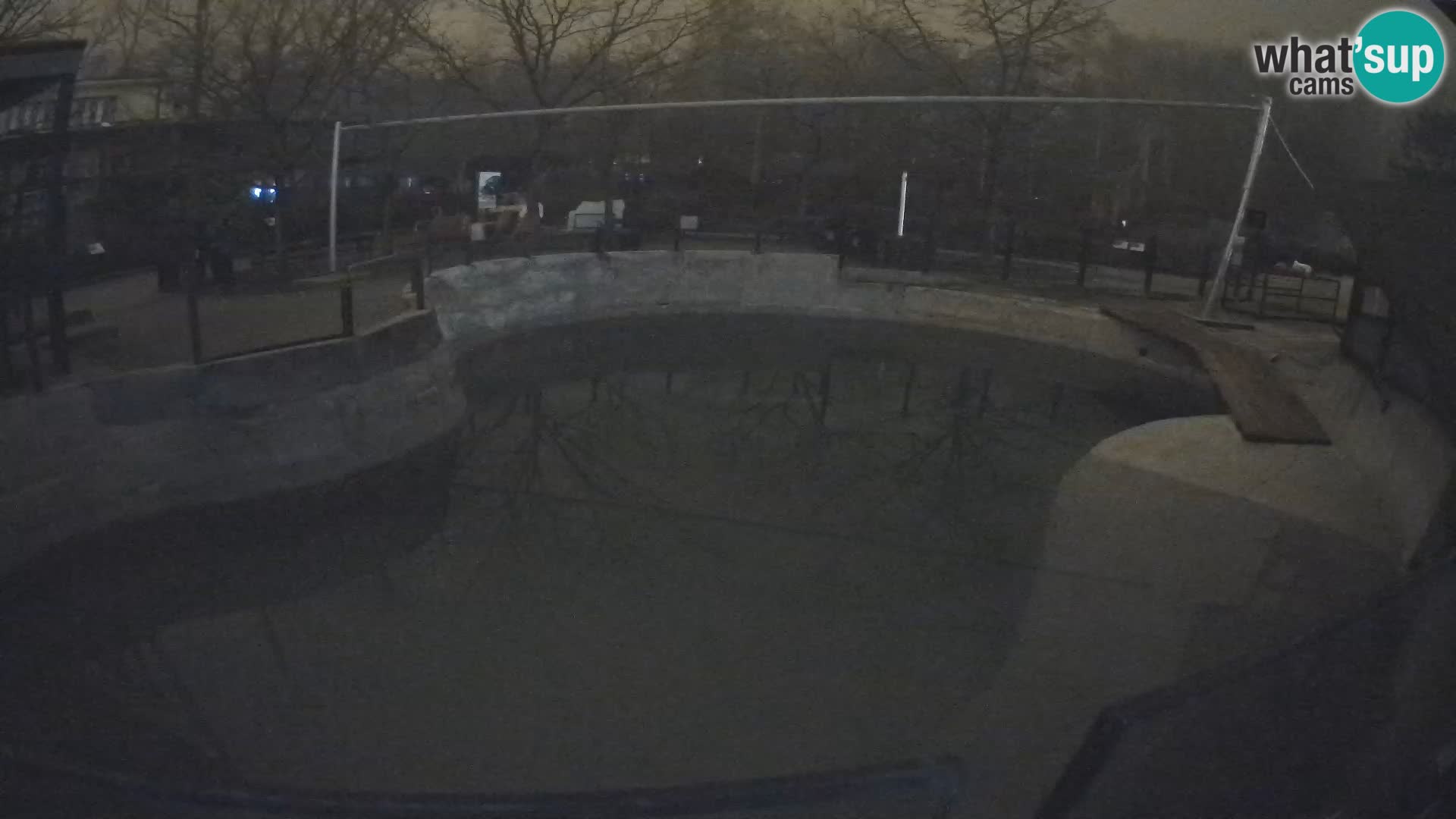 Zoo Zagreb – Kalifornijski morski lav