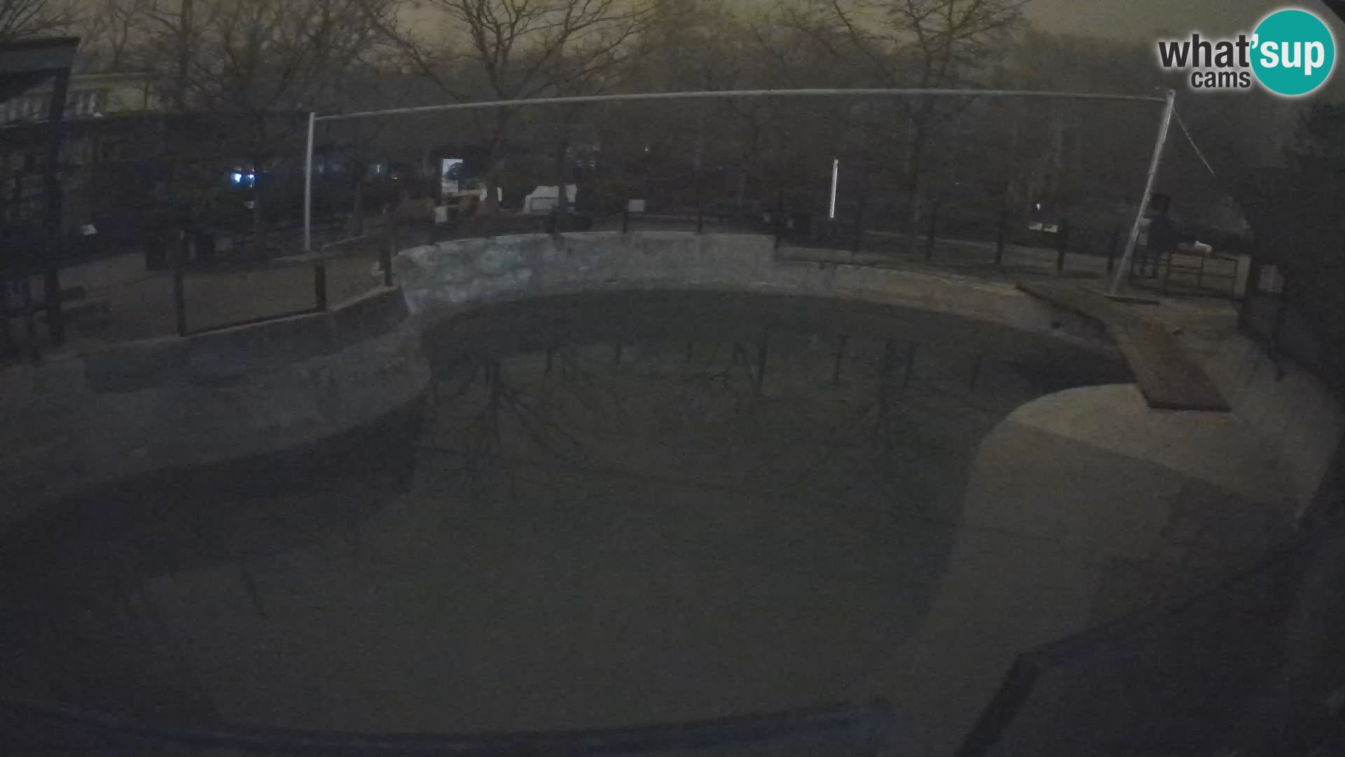 Zoo Zagreb – Kalifornijski morski lav