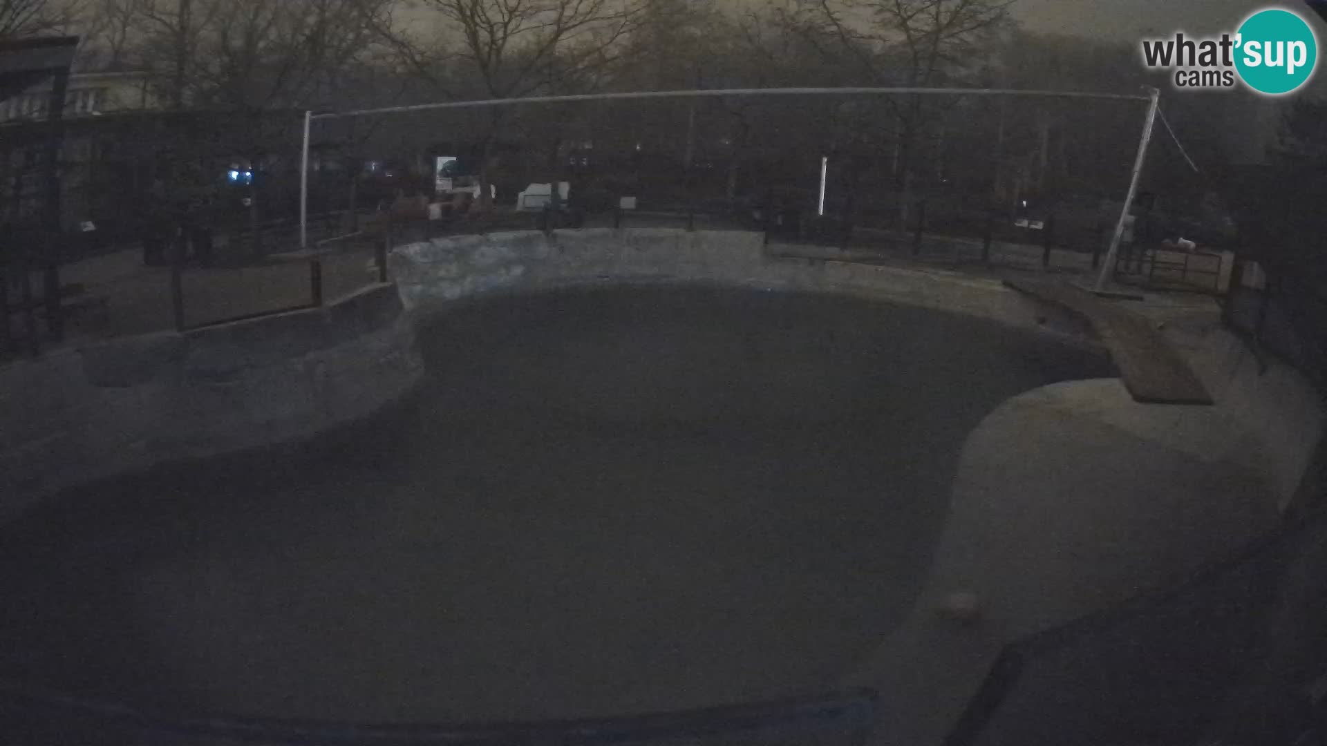 Zoo Zagreb – Kalifornijski morski lav