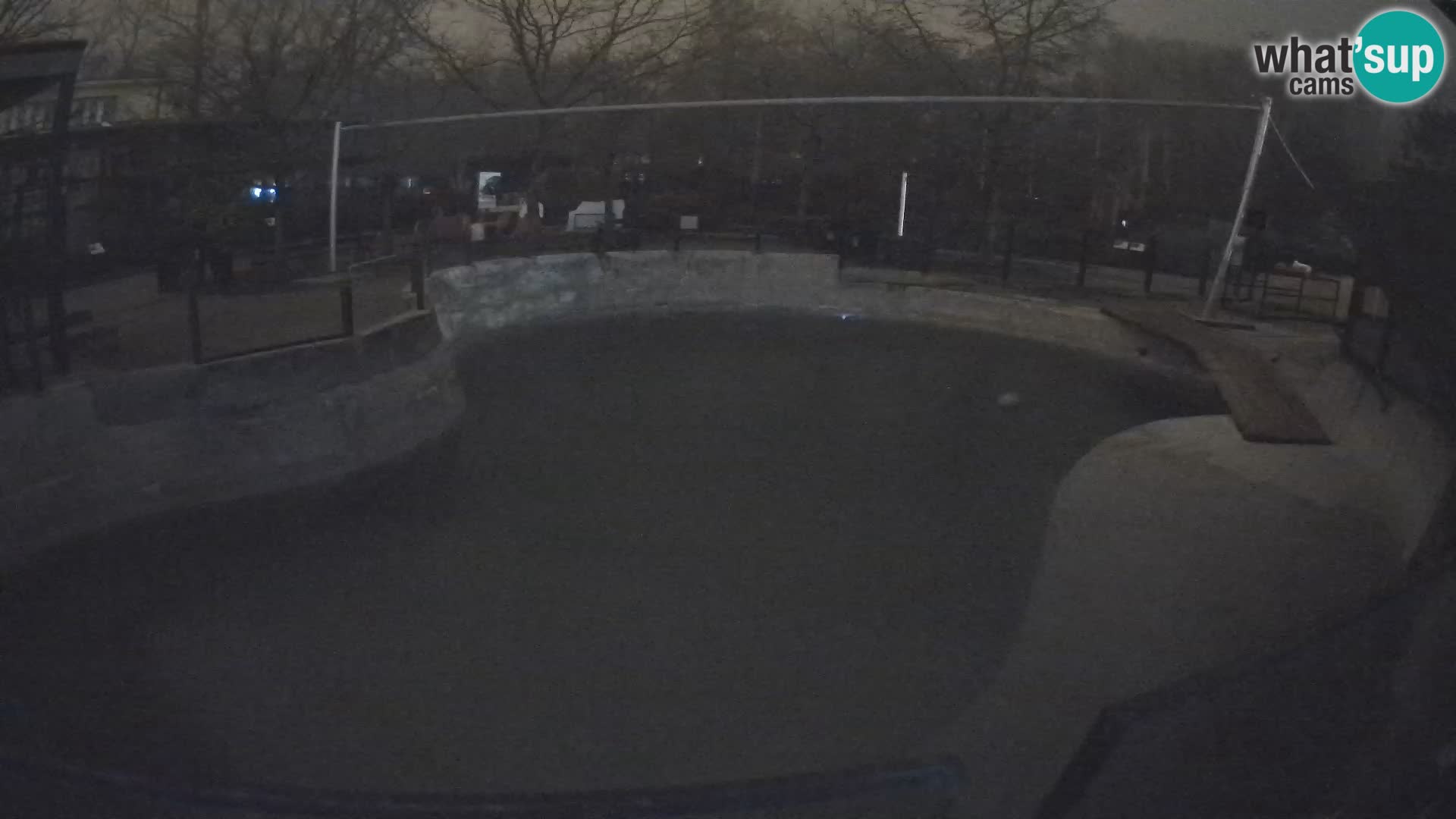 Zoo Zagreb – Kalifornijski morski lav