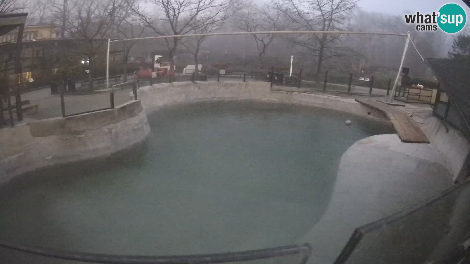 Zoo Zagreb – Kalifornijski morski lav