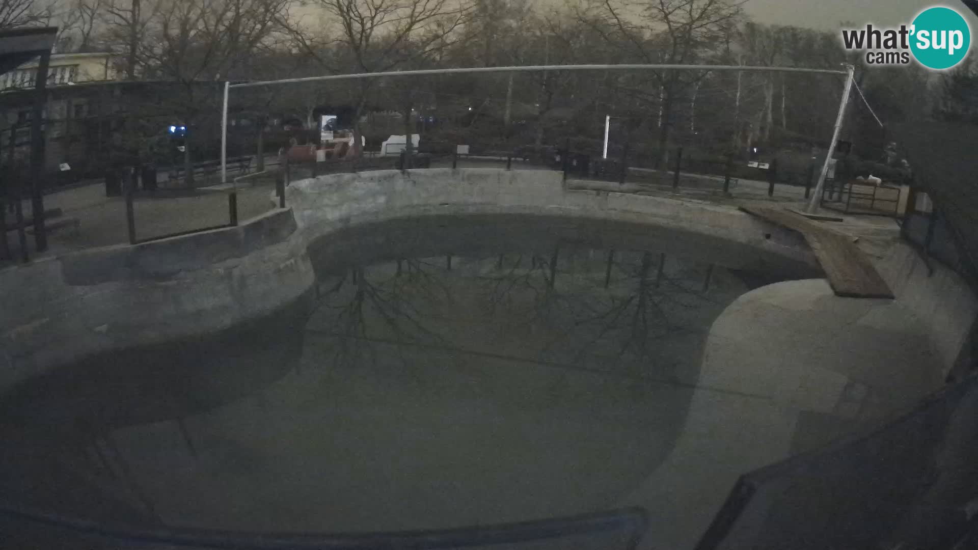 Zoo Zagreb – Kalifornijski morski lav