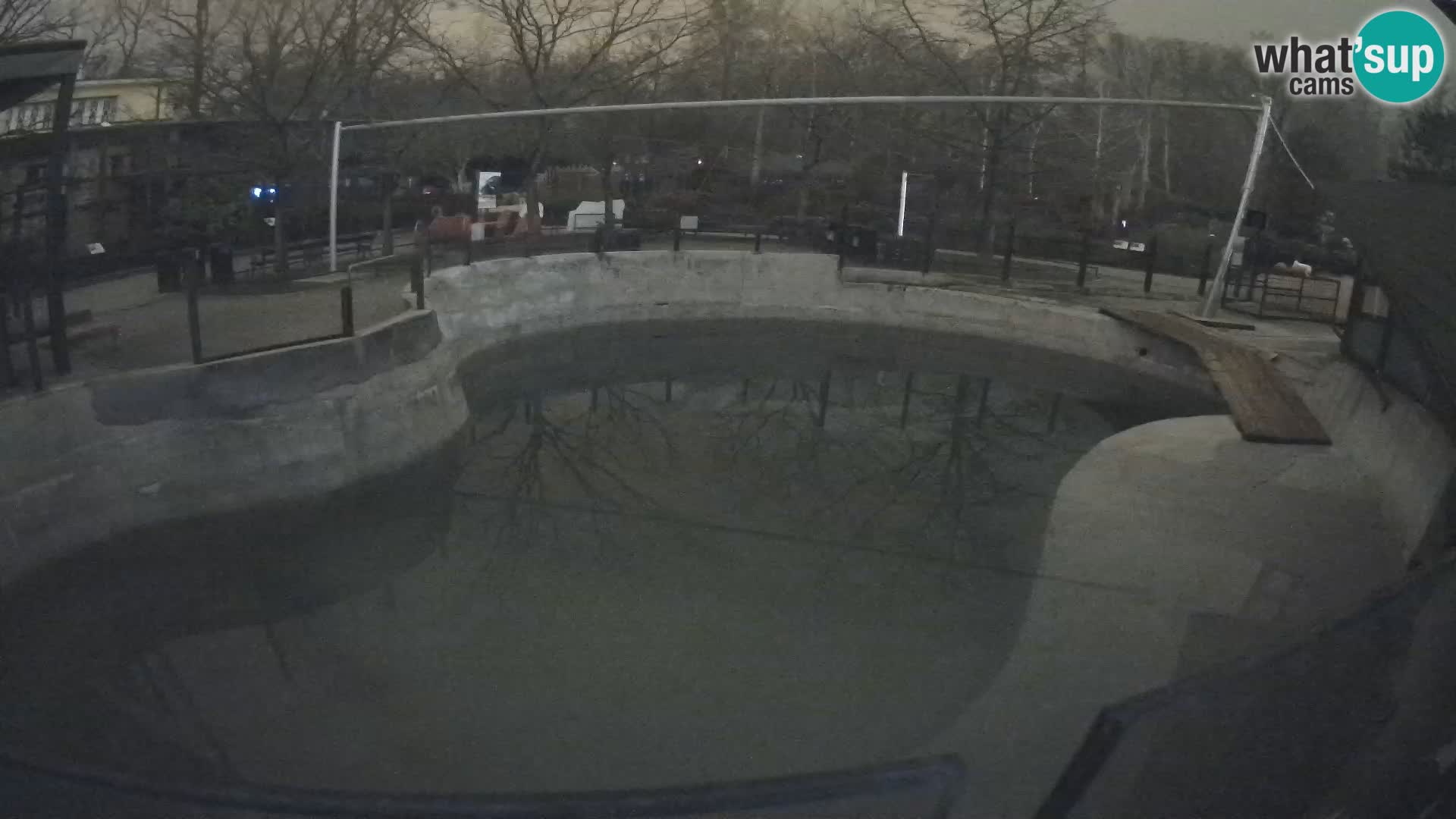 Zoo Zagreb – Otarie de Californie