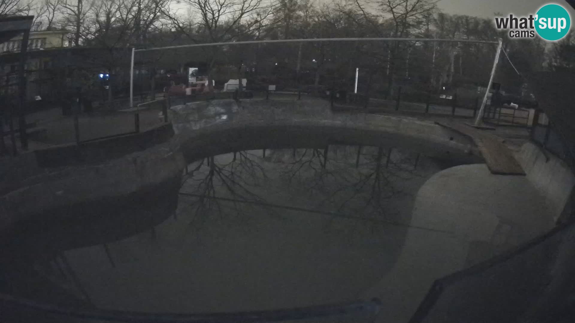 Zoo Zagreb – California Sea Lion