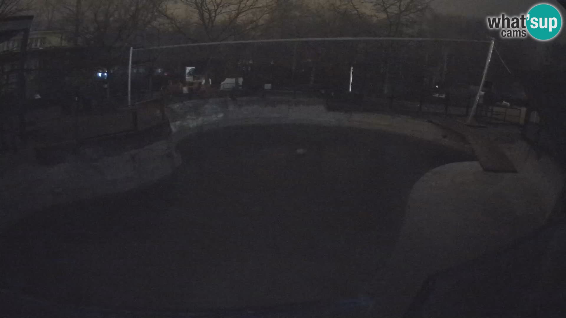 Zoo Zagreb –  León marino de California