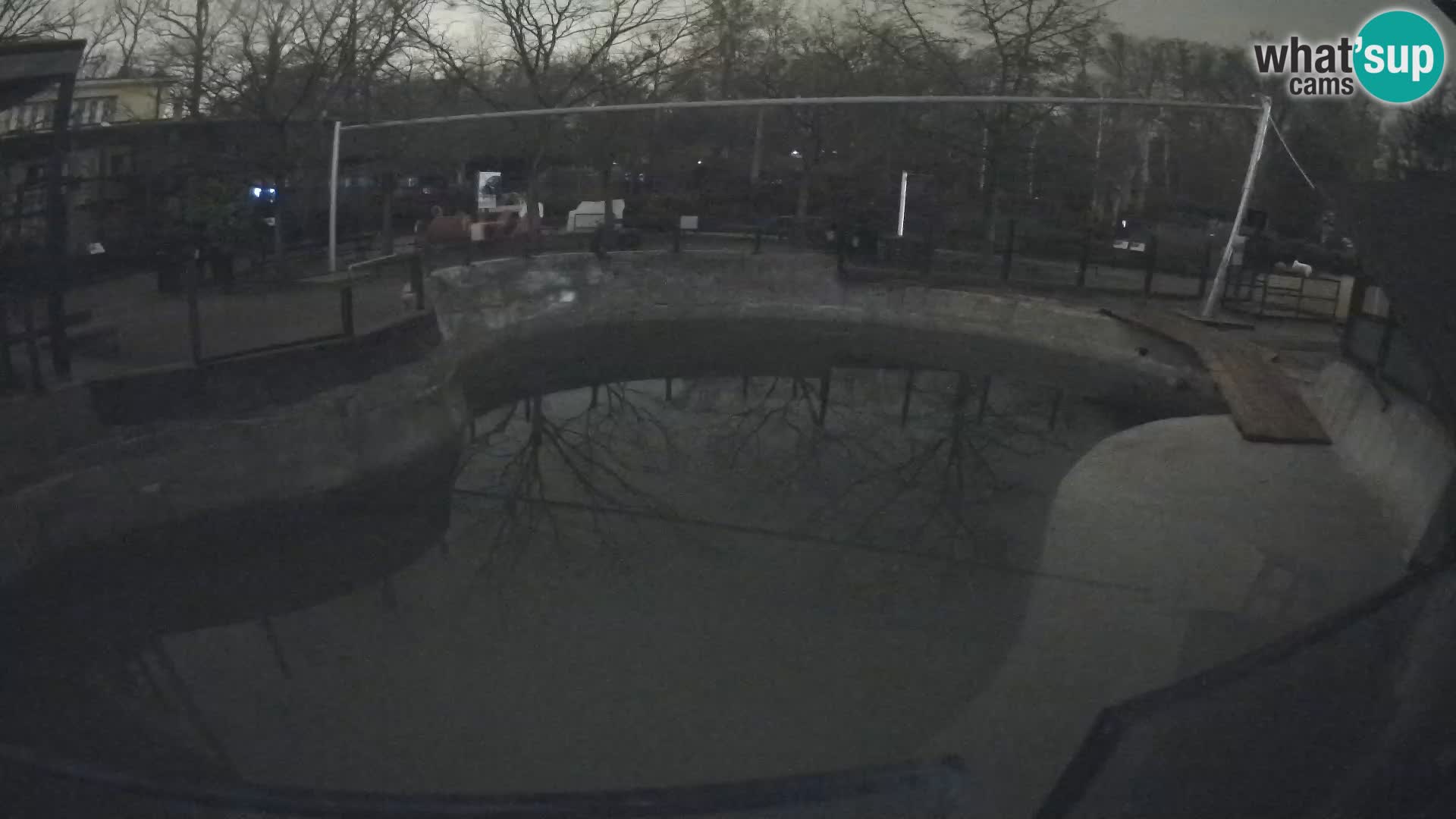 Zoo Zagreb – Otarie de Californie