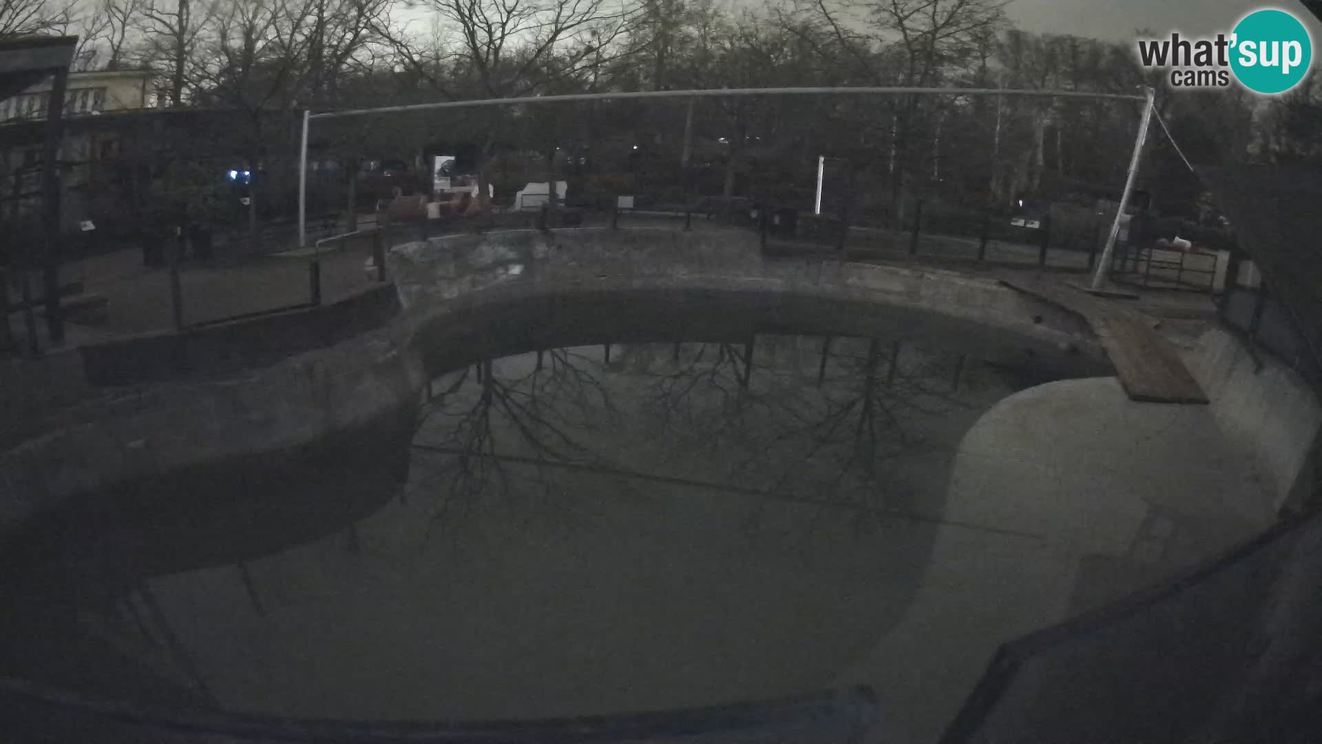 Zoo Zagreb – Kalifornijski morski lav