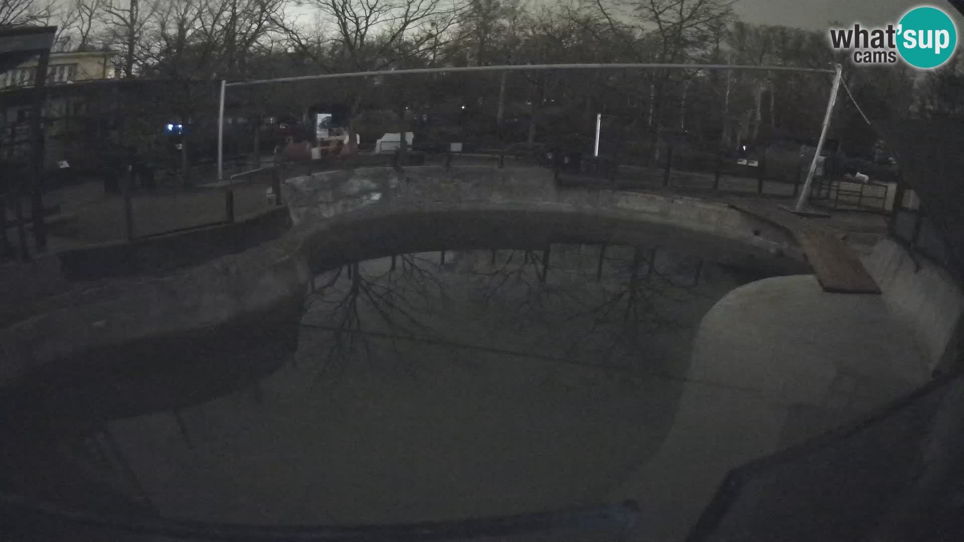 Zoo Zagreb – Kalifornijski morski lav