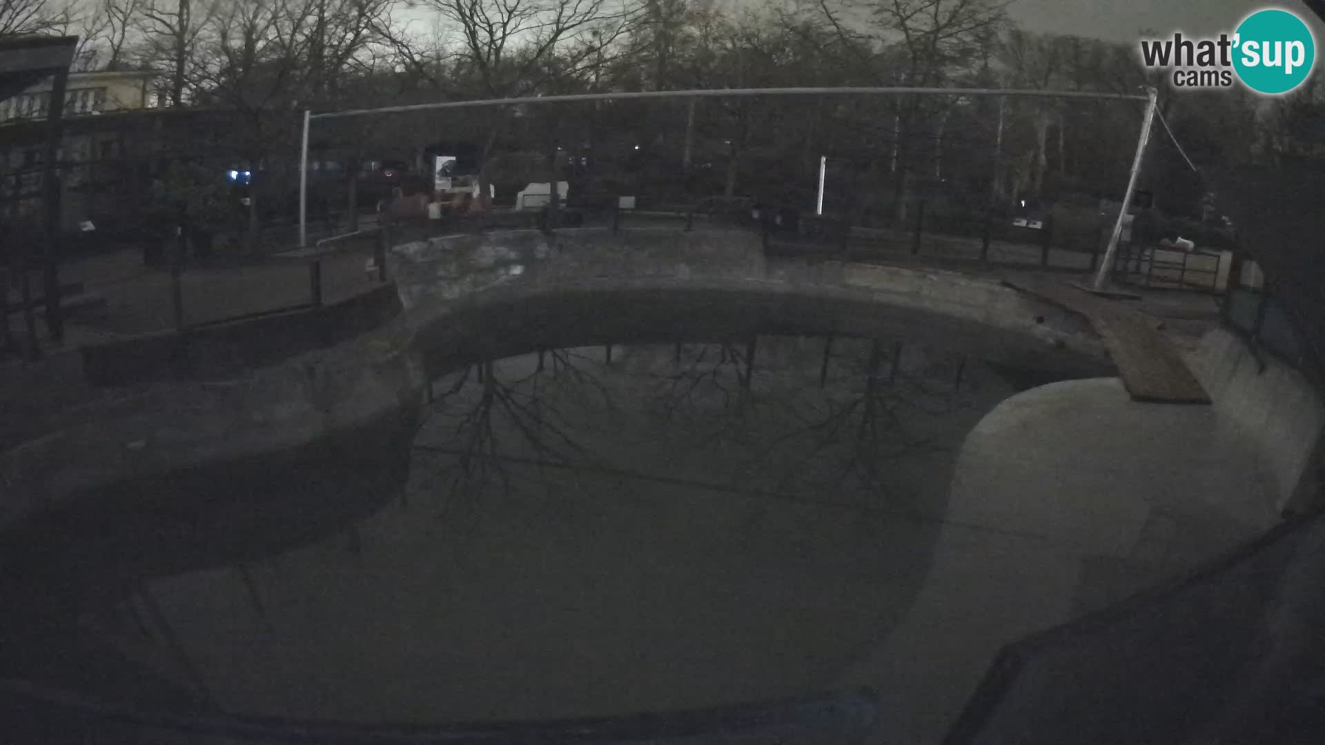 Zoo Zagreb – Kalifornijski morski lav