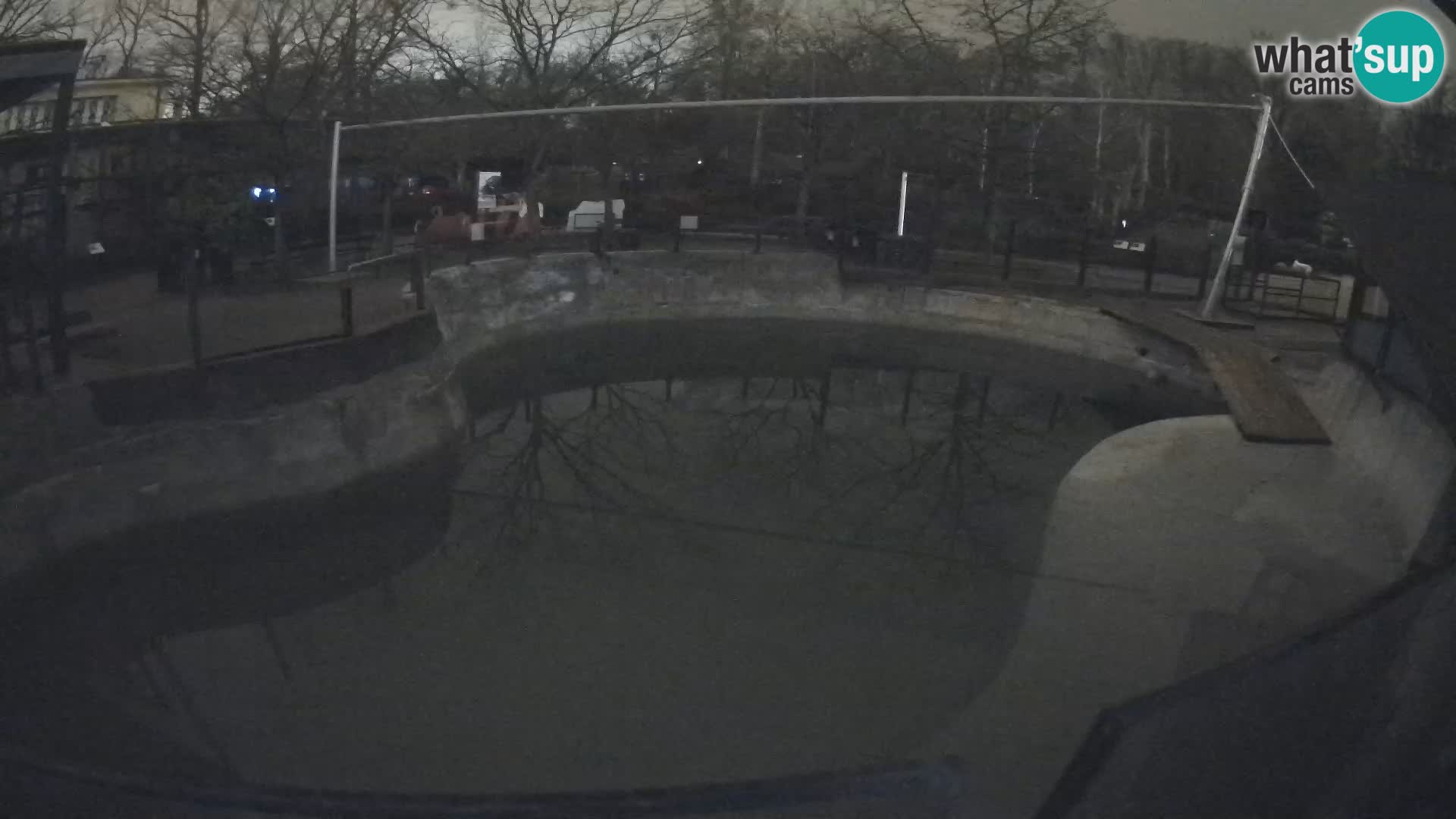 Zoo Zagreb – Otarie de Californie