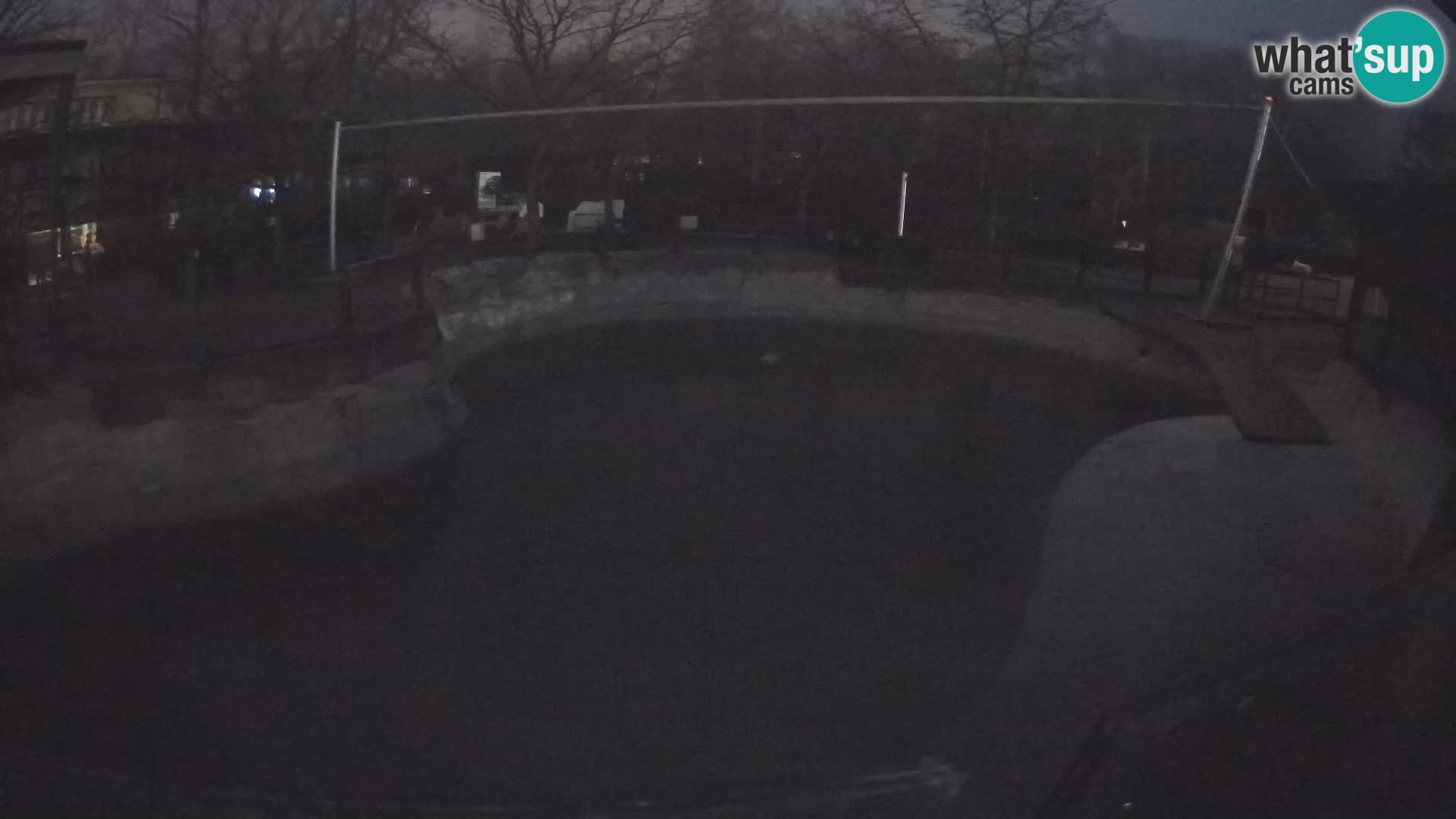 Zoo Zagreb – Kalifornijski morski lav