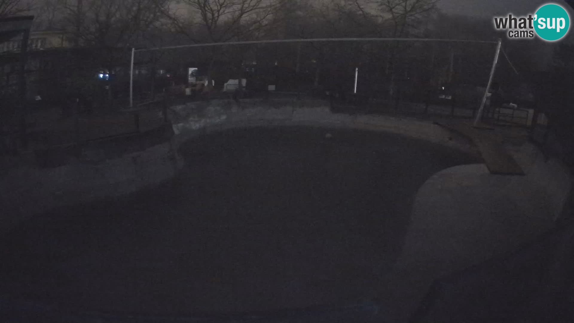 Zoo Zagreb – Kalifornijski morski lev