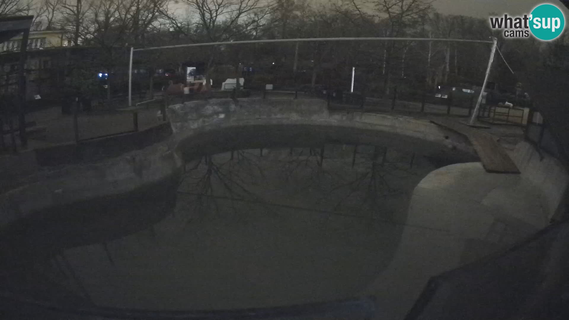 Zoo Zagreb – Kalifornijski morski lav