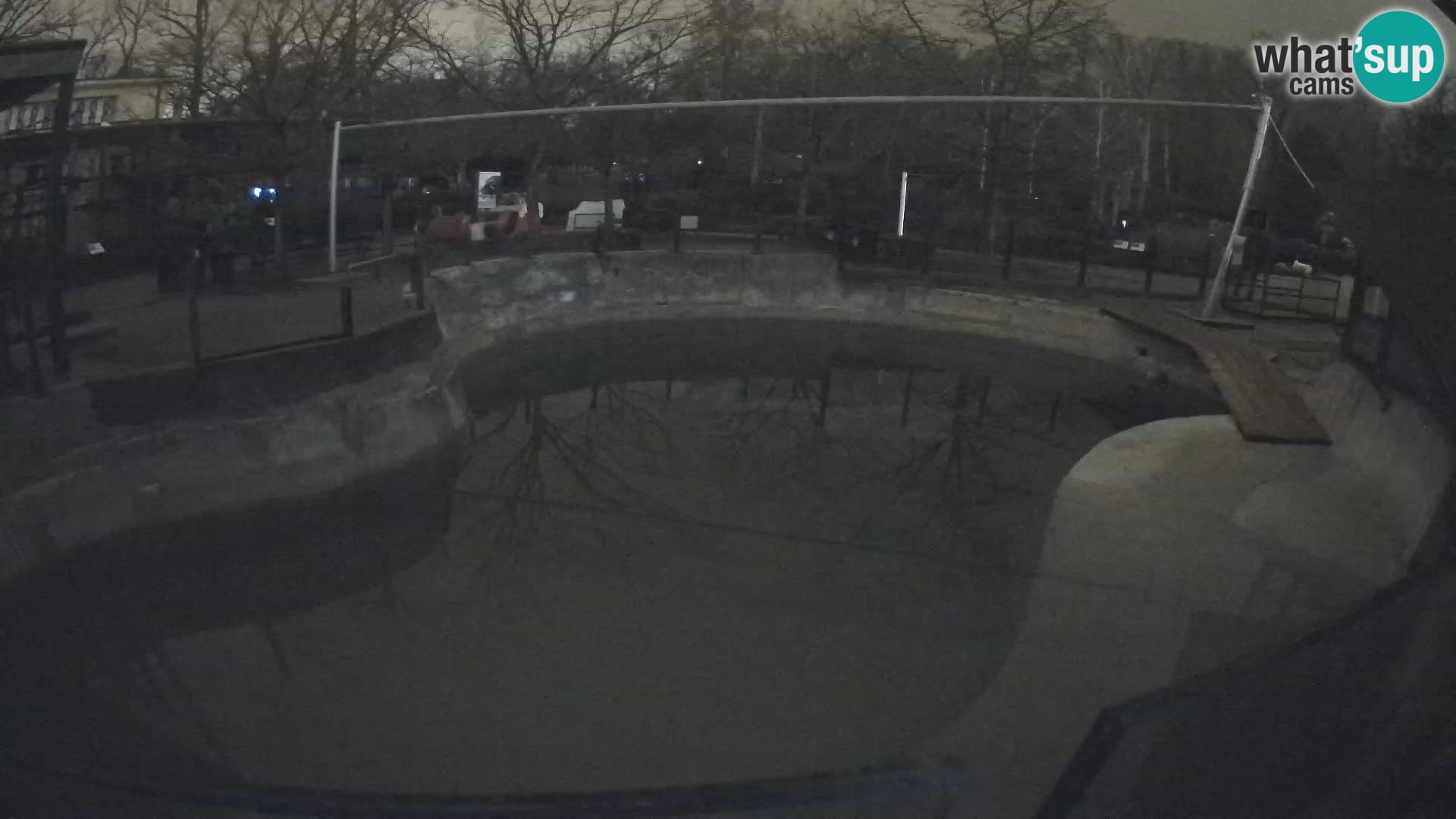 Zoo Zagreb – Otarie de Californie