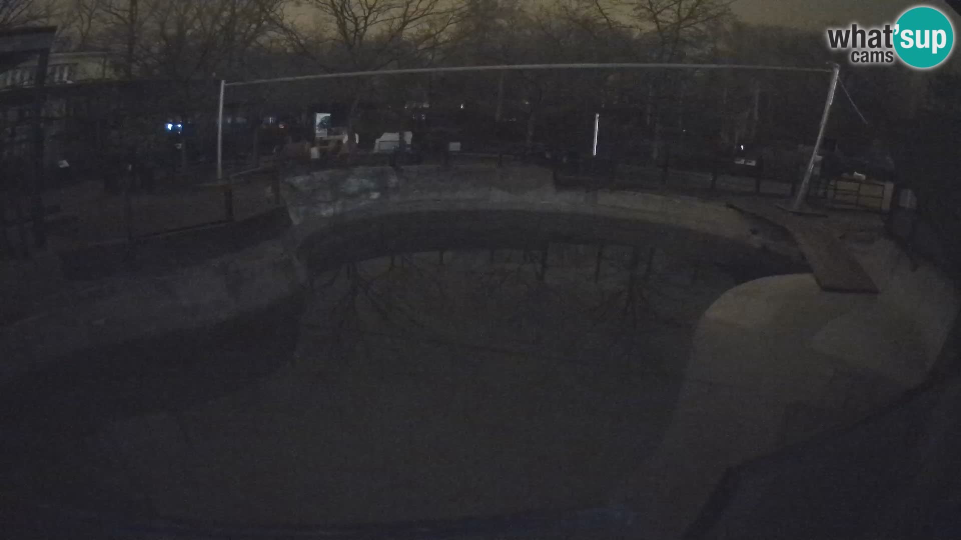 Zoo Zagreb – Otarie de Californie