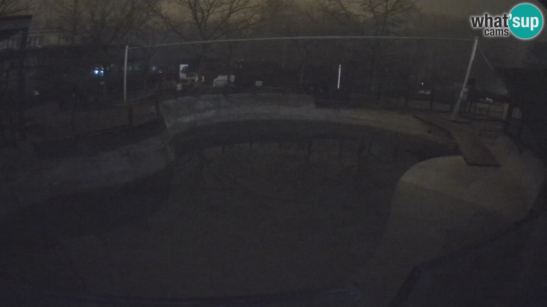 Zoo Zagreb – Kalifornijski morski lav