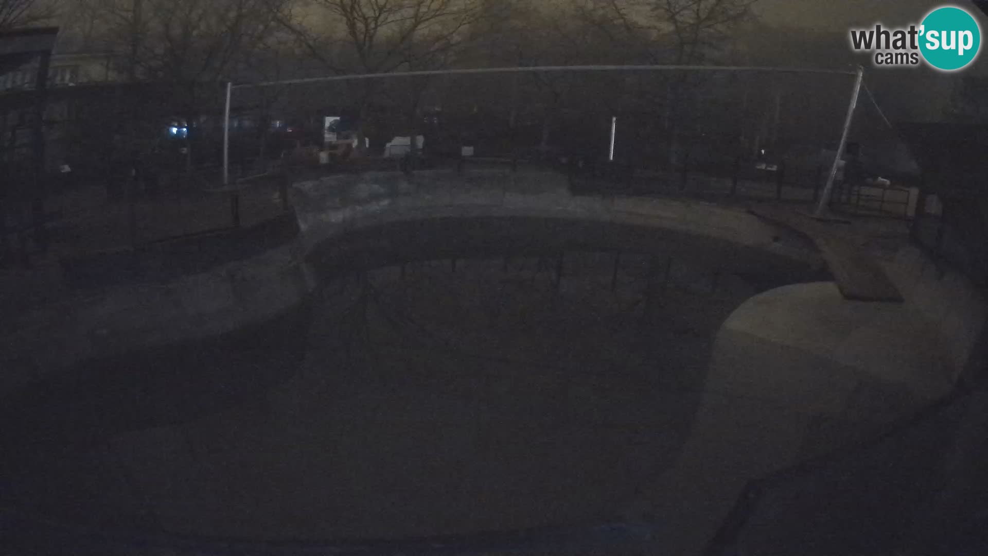 Zoo Zagreb – Kalifornijski morski lav