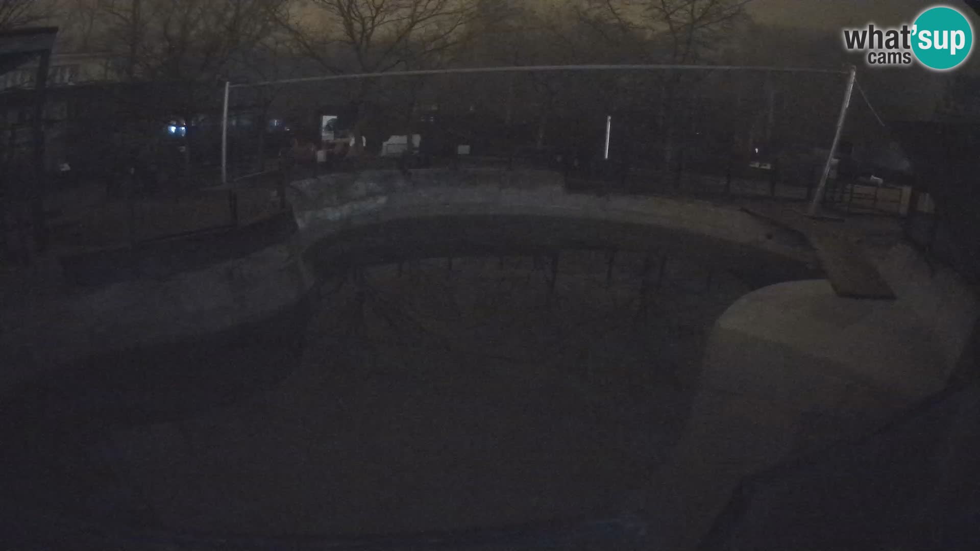 Zoo Zagreb – Kalifornijski morski lav