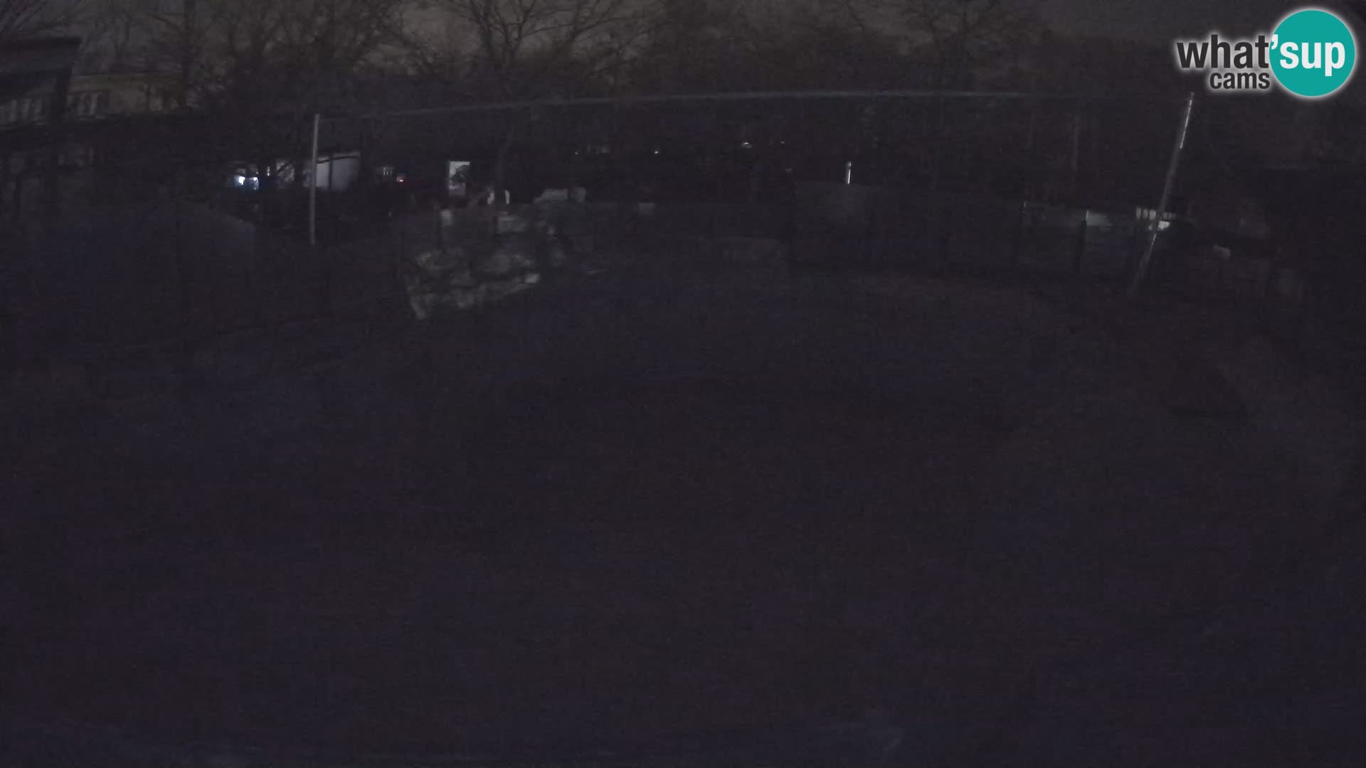 Zoo Zagreb –  León marino de California